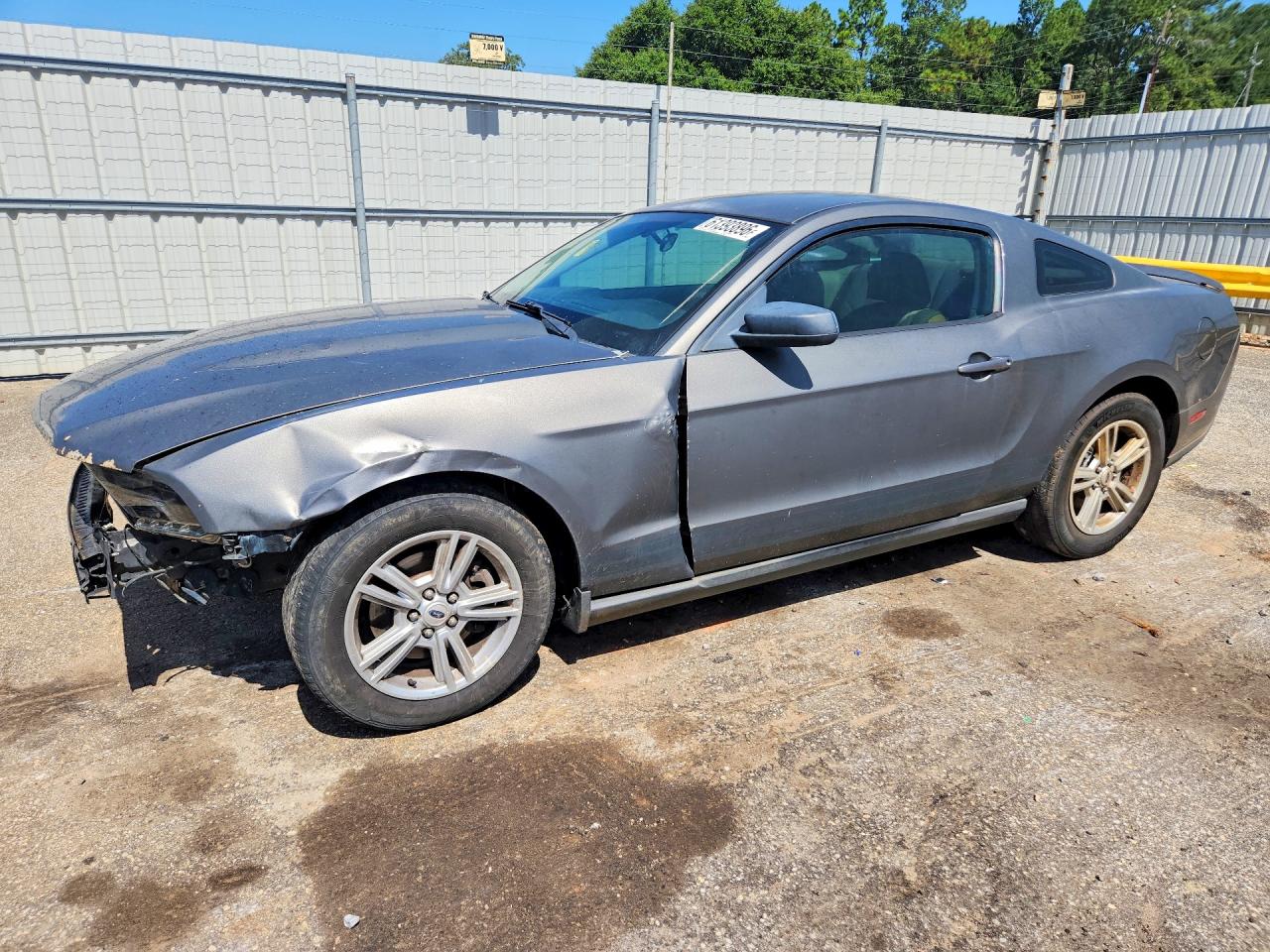 2011 Ford Mustang Gray vin: 1ZVBP8AM8B5135296