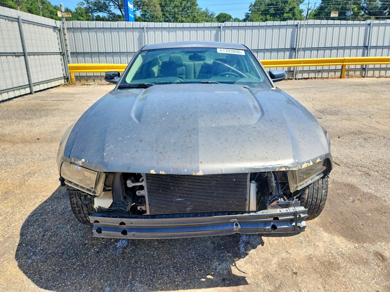2011 Ford Mustang Gray vin: 1ZVBP8AM8B5135296
