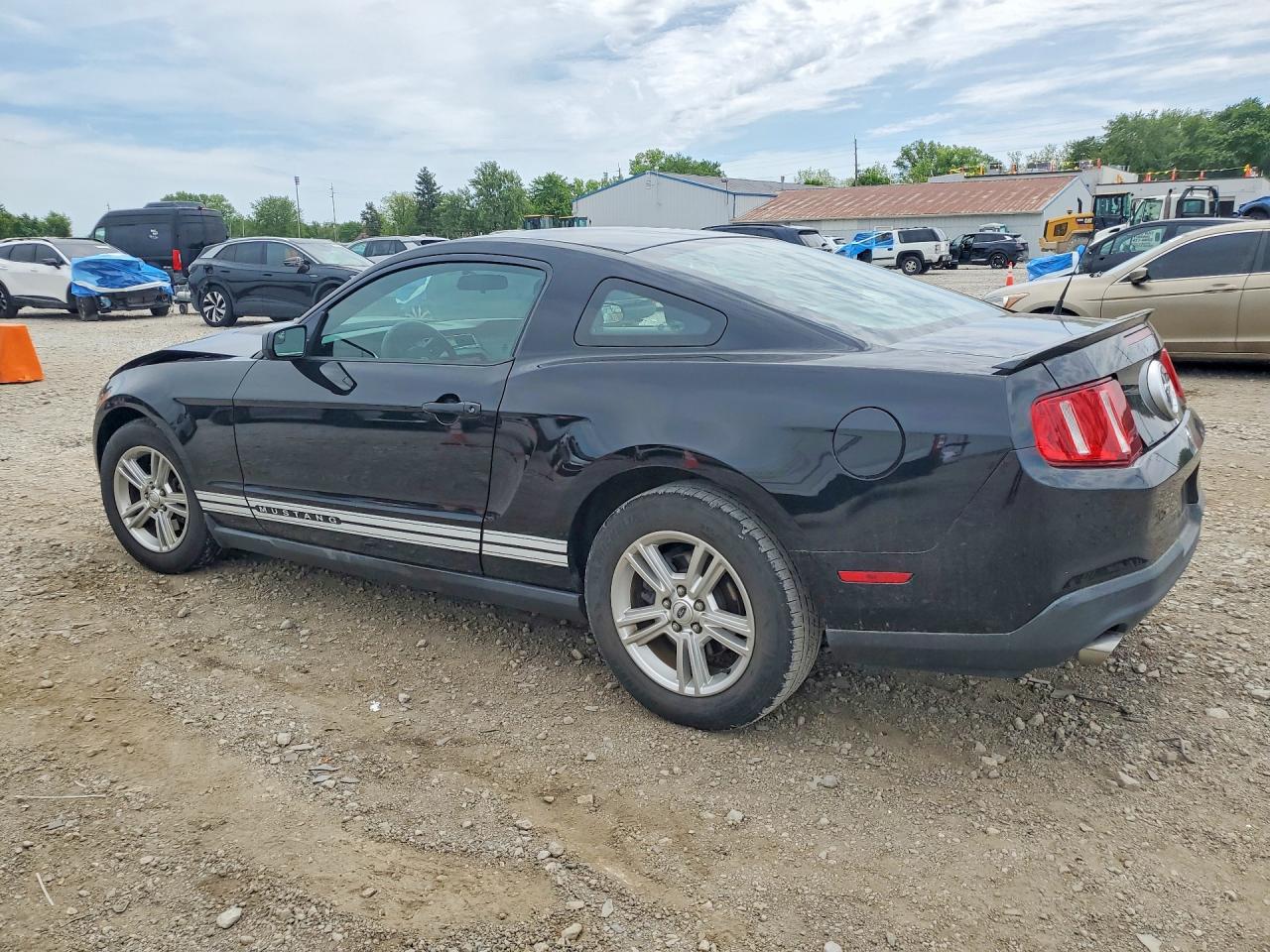2011 Ford Mustang Черный vin: 1ZVBP8AM8B5151577