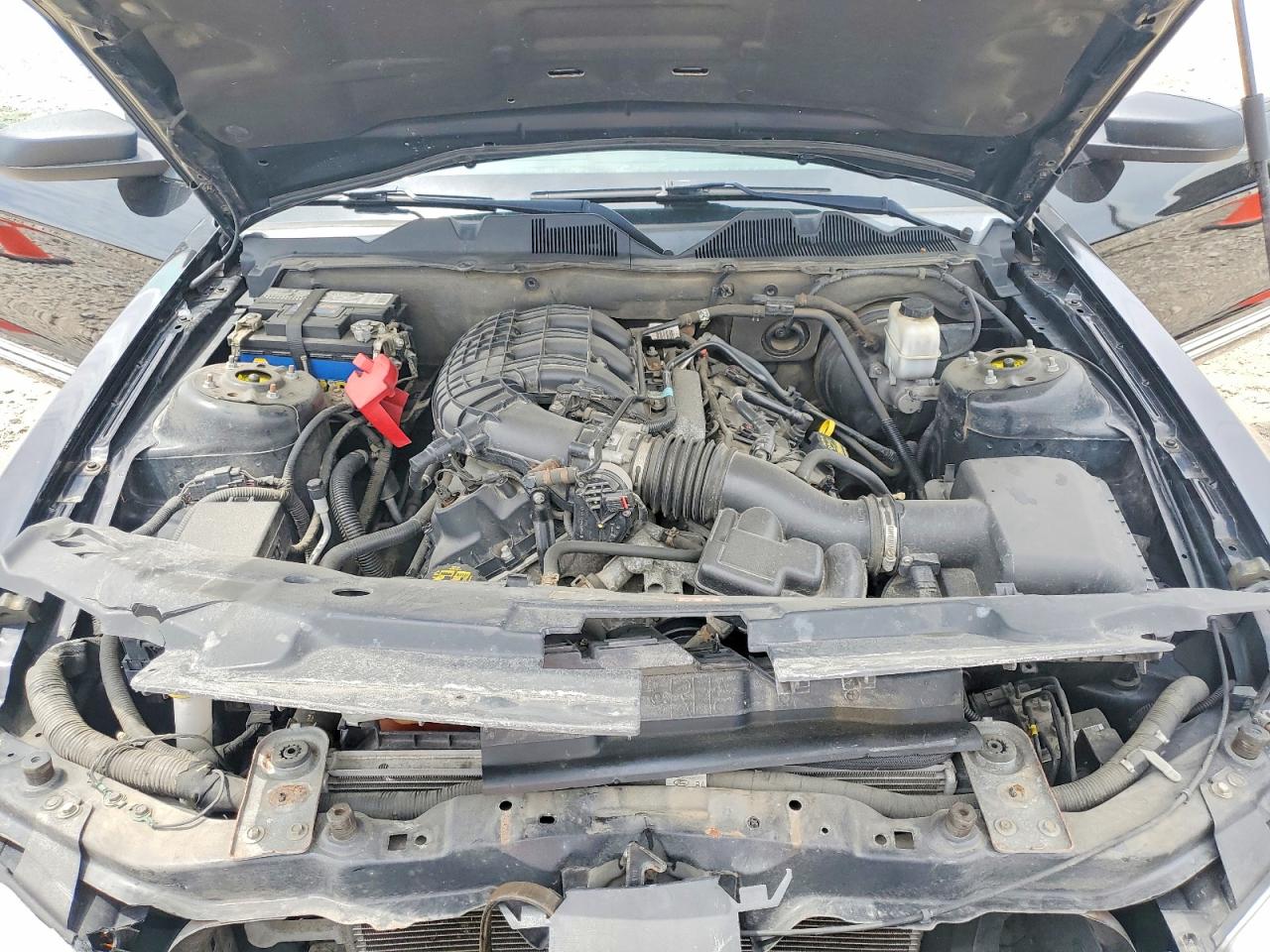 2011 Ford Mustang Черный vin: 1ZVBP8AM8B5151577
