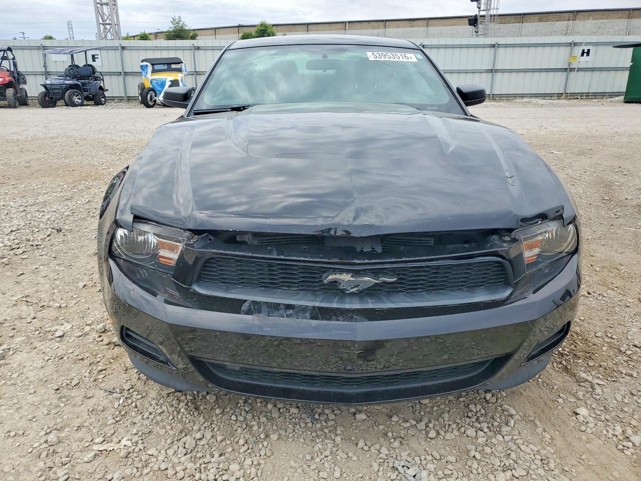 2011 Ford Mustang Черный vin: 1ZVBP8AM8B5151577