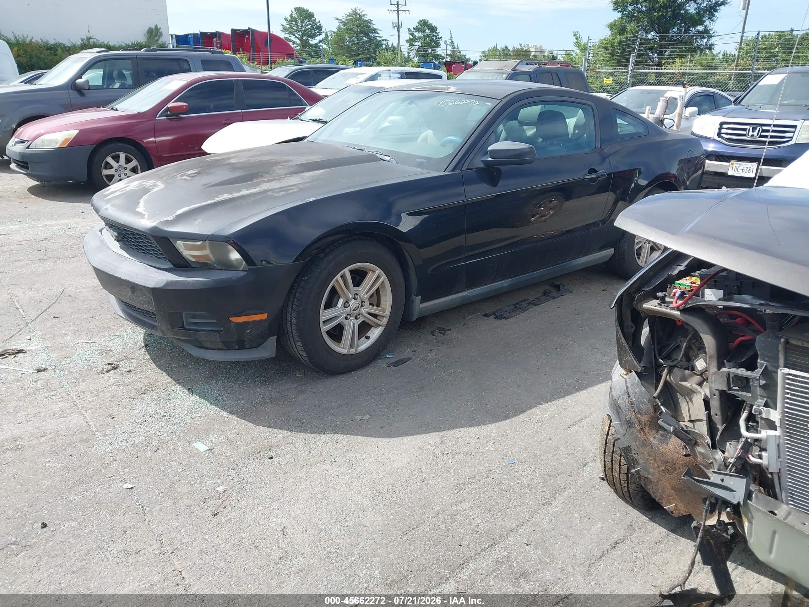 2012 Ford Mustang V6 Black vin: 1ZVBP8AM8C5212427