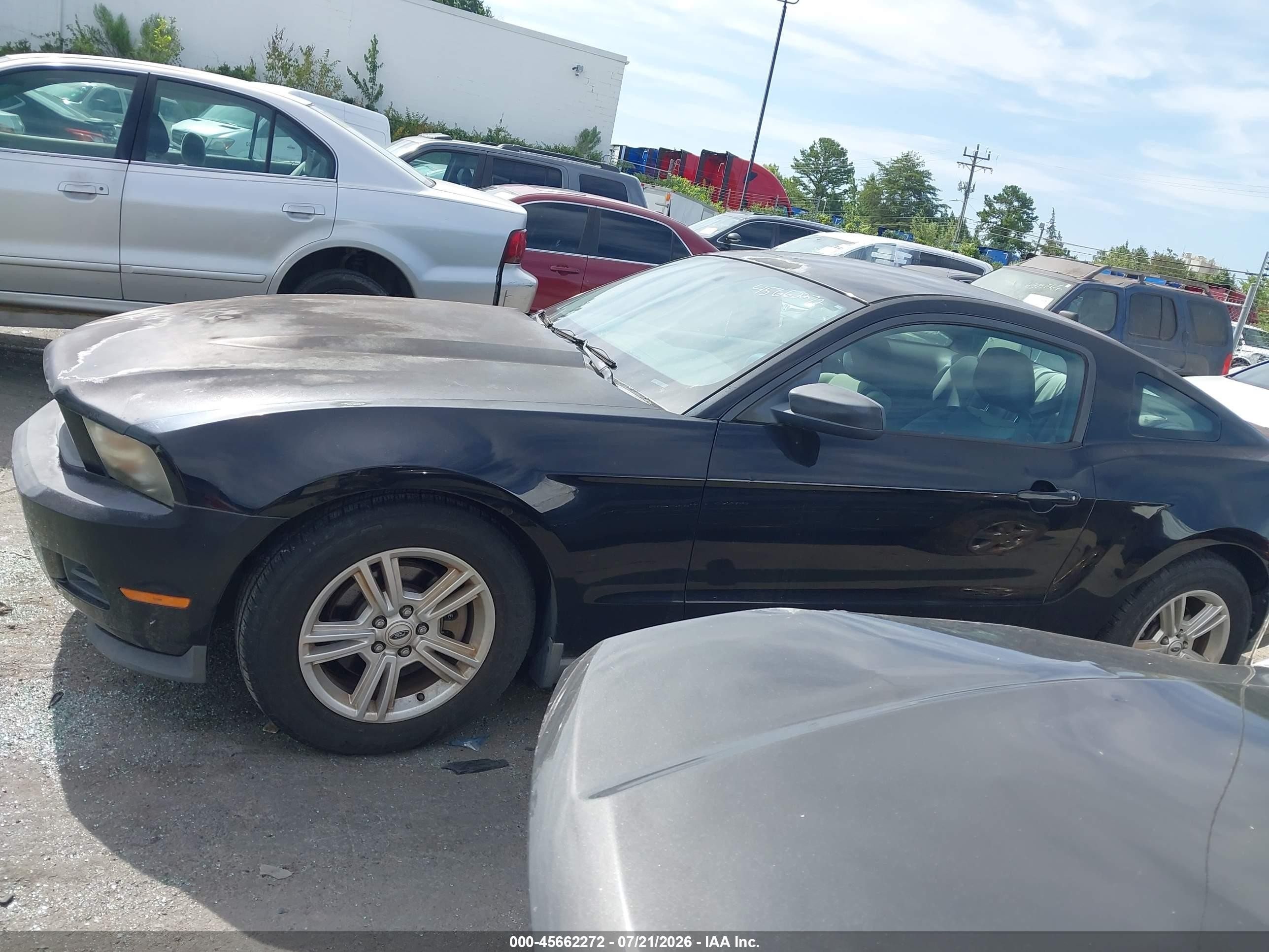 2012 Ford Mustang V6 Black vin: 1ZVBP8AM8C5212427