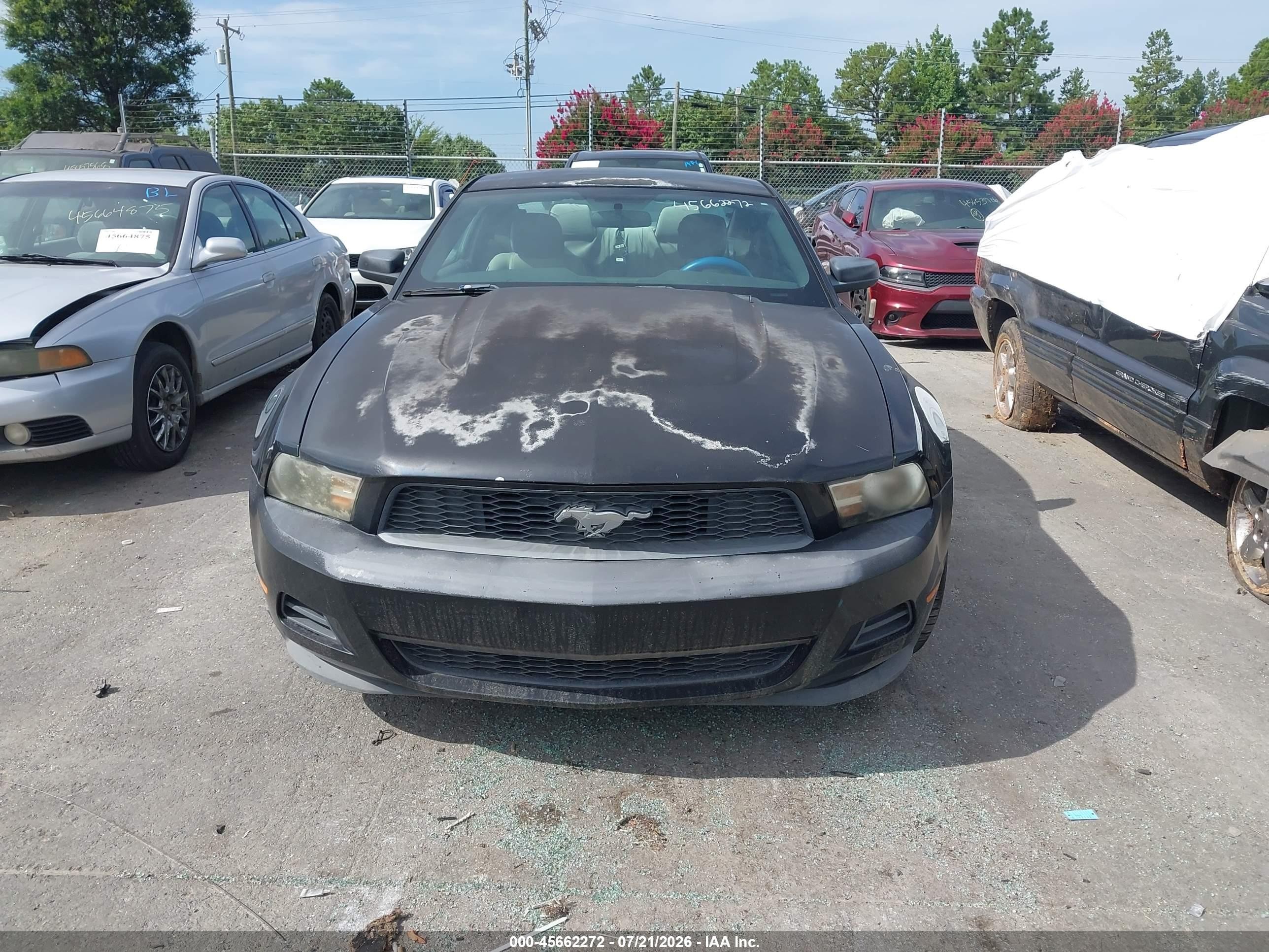 2012 Ford Mustang V6 Black vin: 1ZVBP8AM8C5212427
