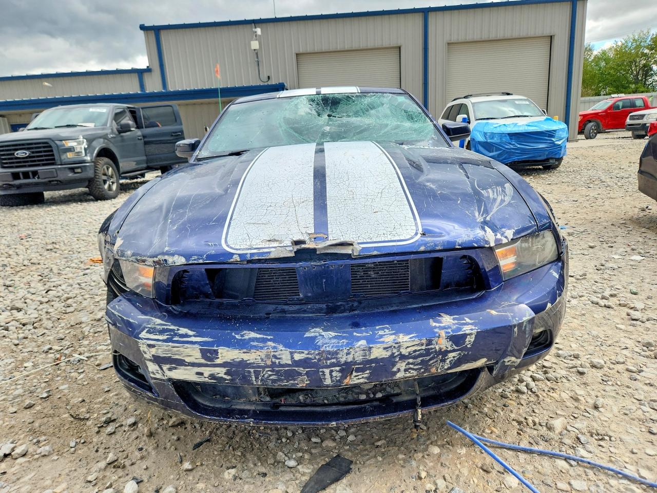 2012 Ford Mustang Blue vin: 1ZVBP8AM8C5229907