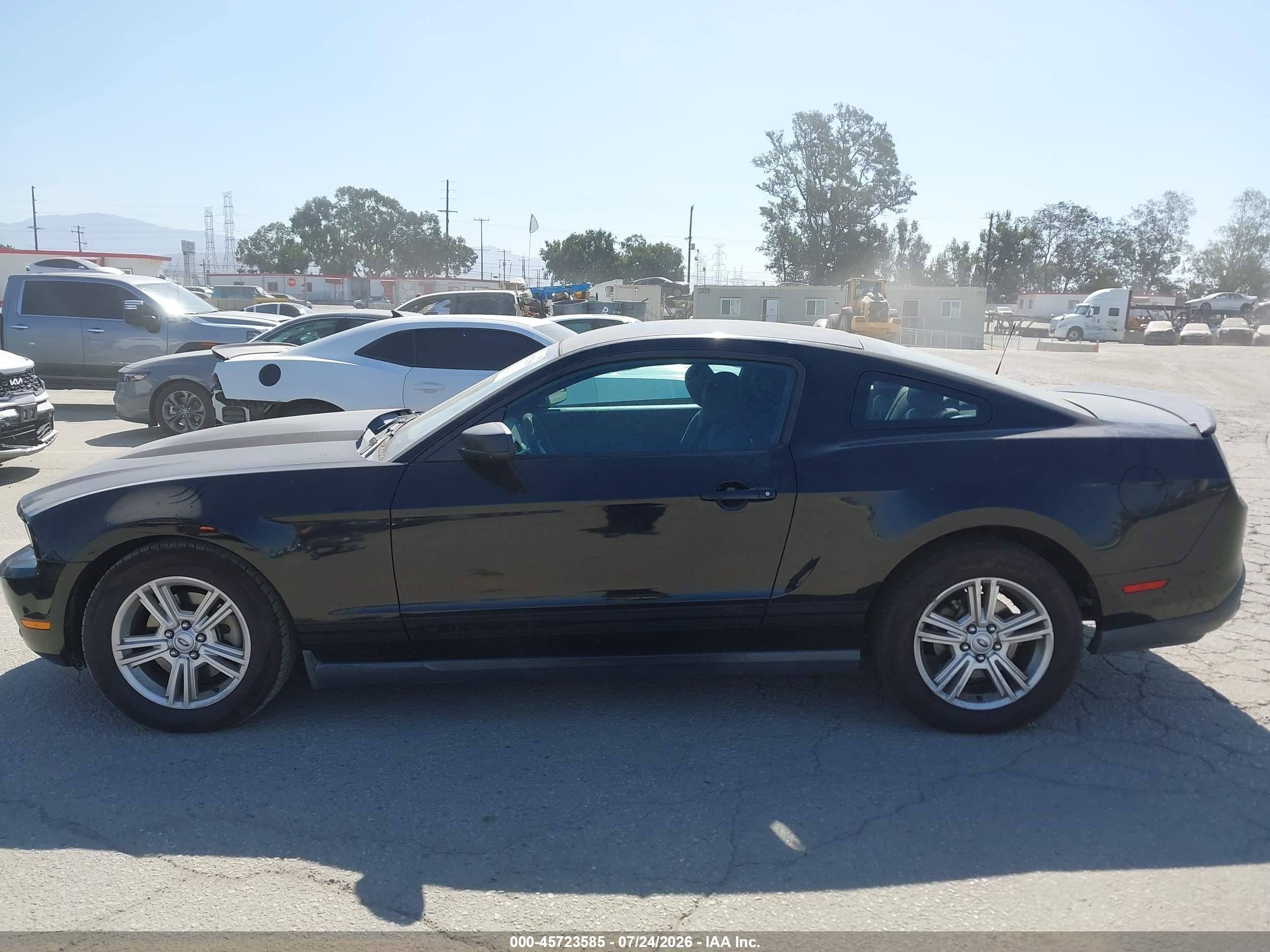 2012 Ford Mustang V6 Черный vin: 1ZVBP8AM8C5245654