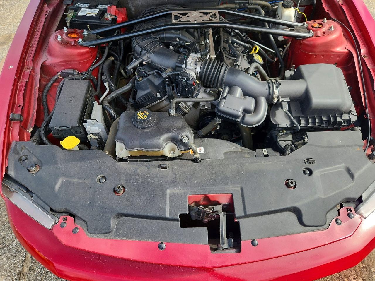 2012 Ford Mustang Красный vin: 1ZVBP8AM8C5269047