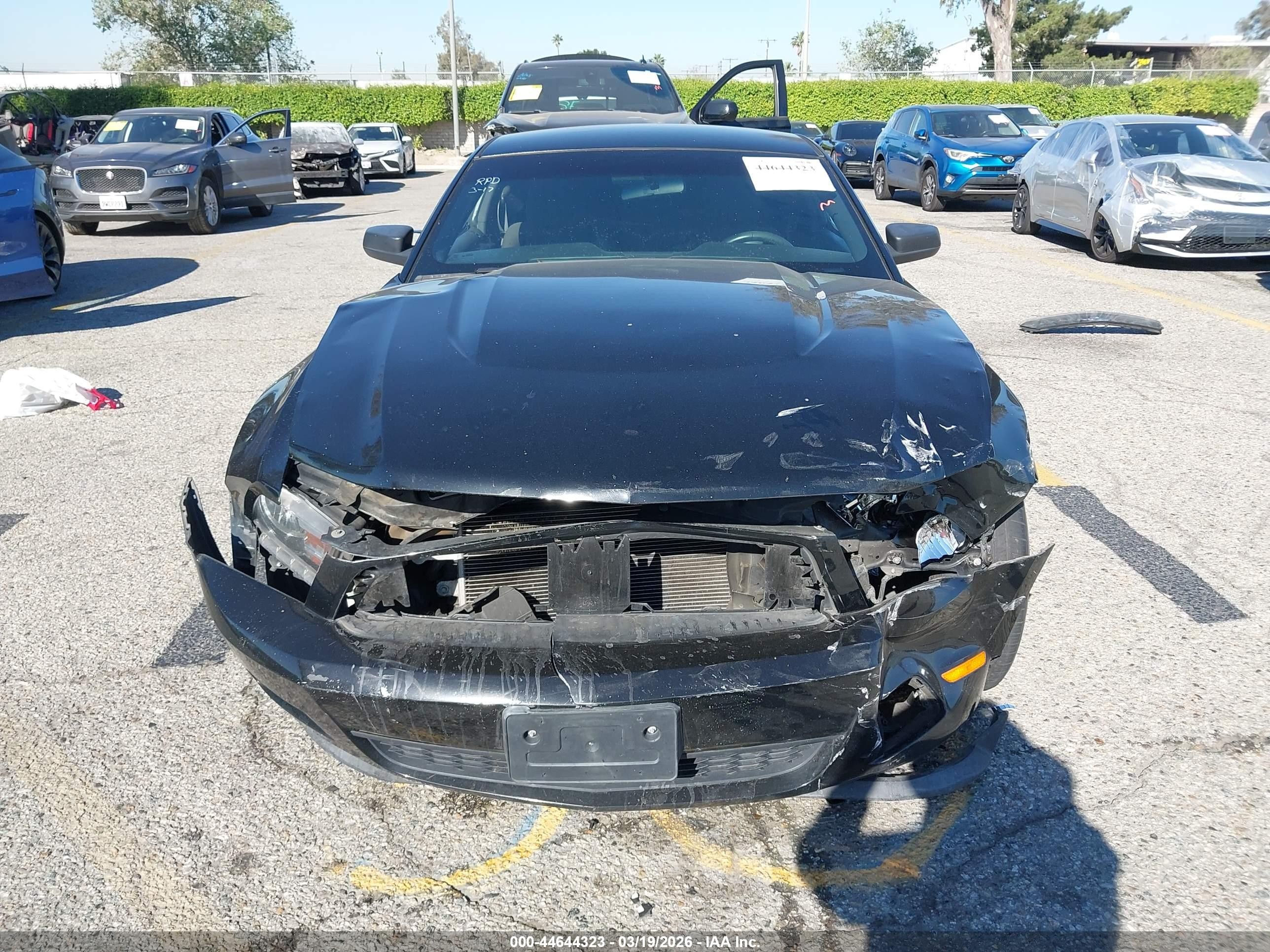 2012 Ford Mustang V6 Black vin: 1ZVBP8AM8C5287466