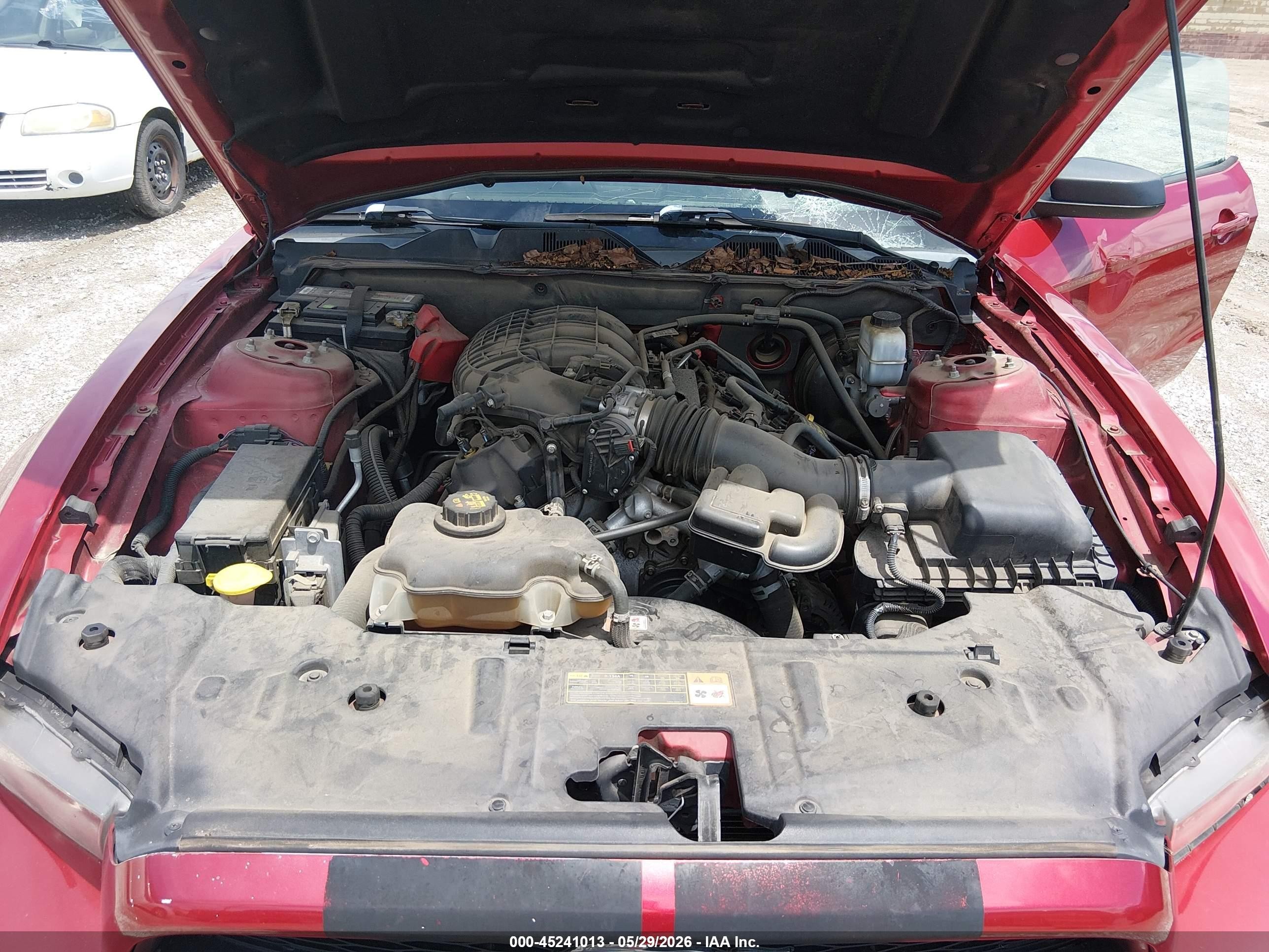 2013 Ford Mustang V6 Красный vin: 1ZVBP8AM8D5233215