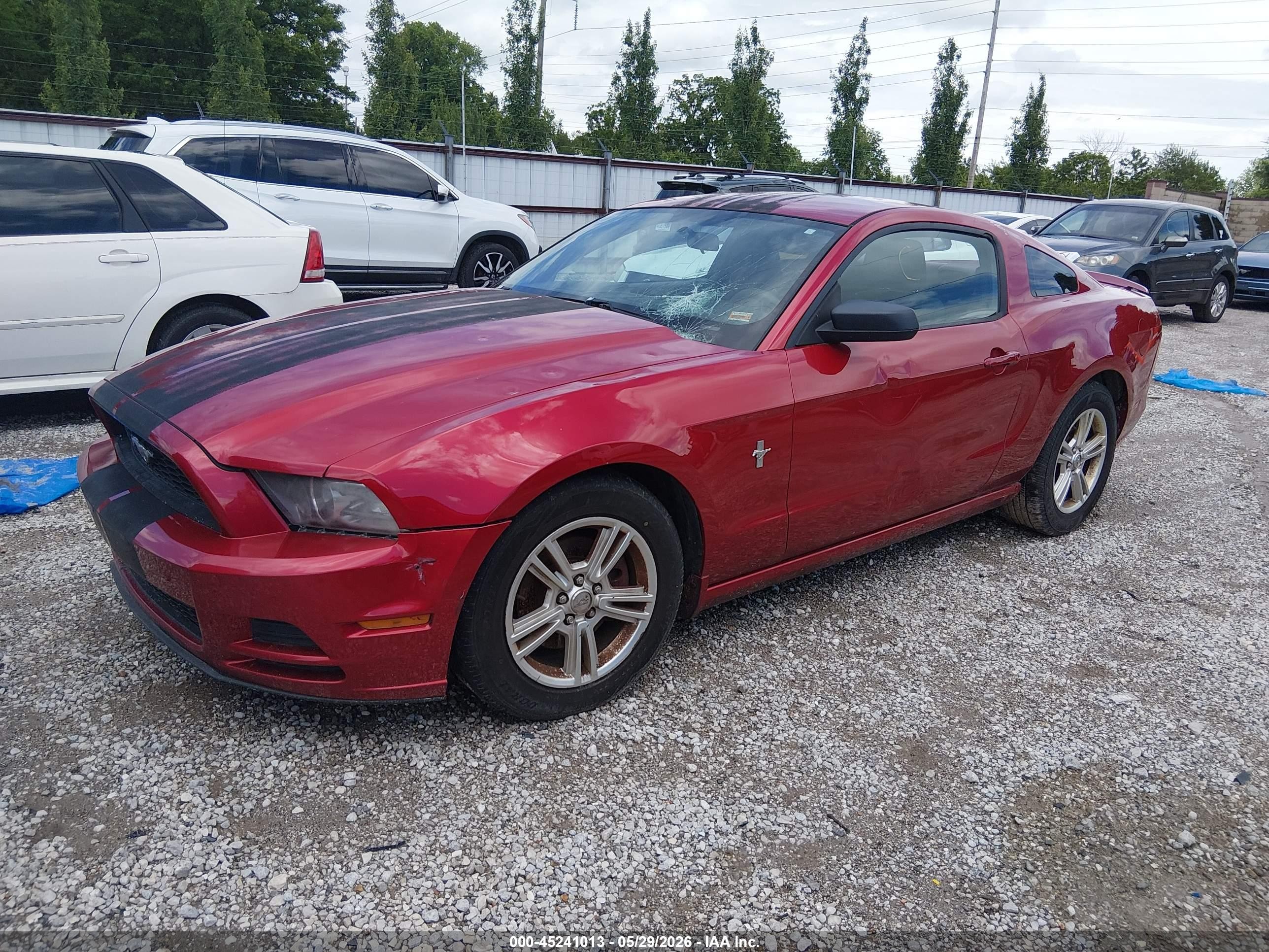2013 Ford Mustang V6 Красный vin: 1ZVBP8AM8D5233215