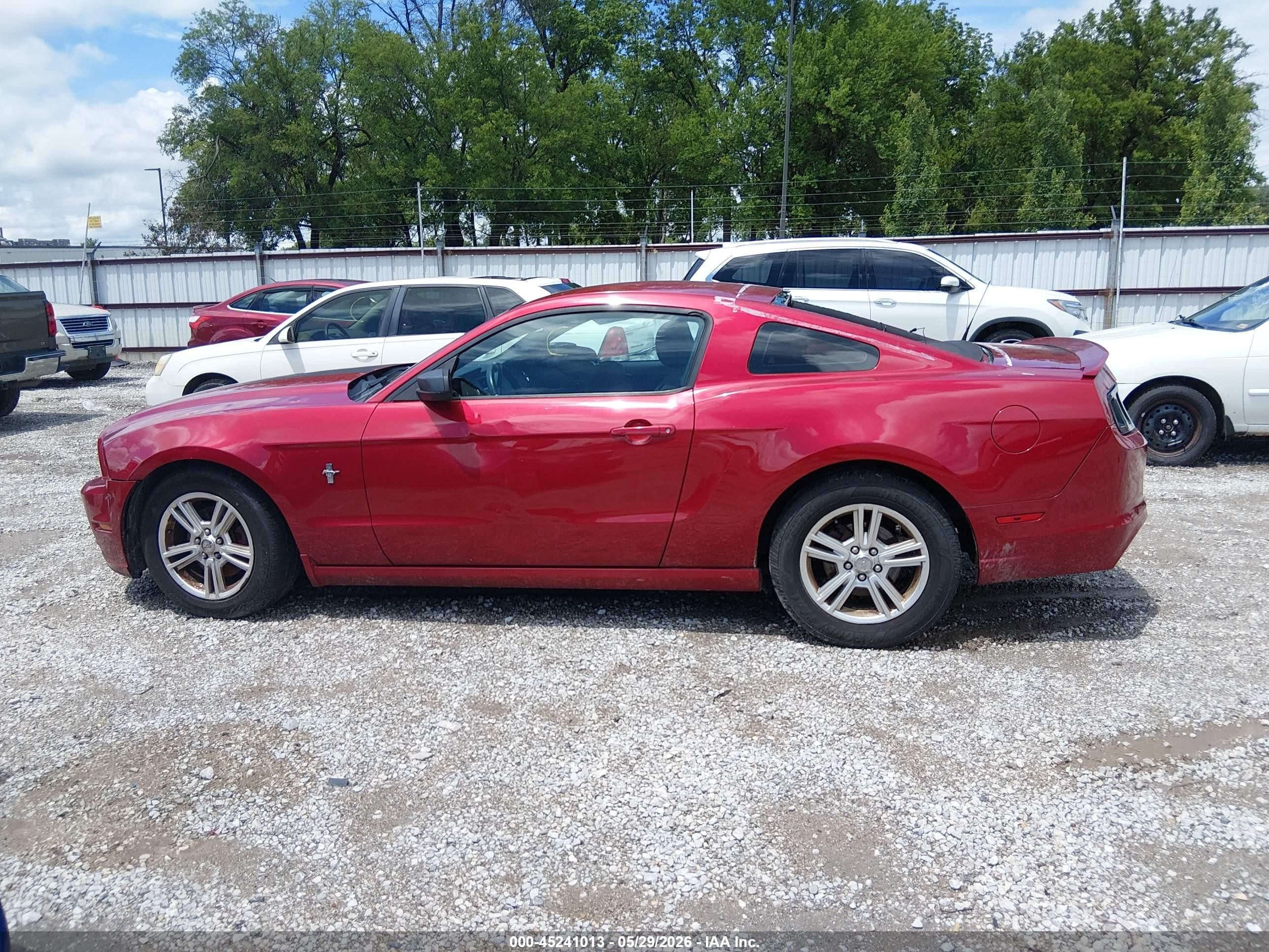 2013 Ford Mustang V6 Красный vin: 1ZVBP8AM8D5233215