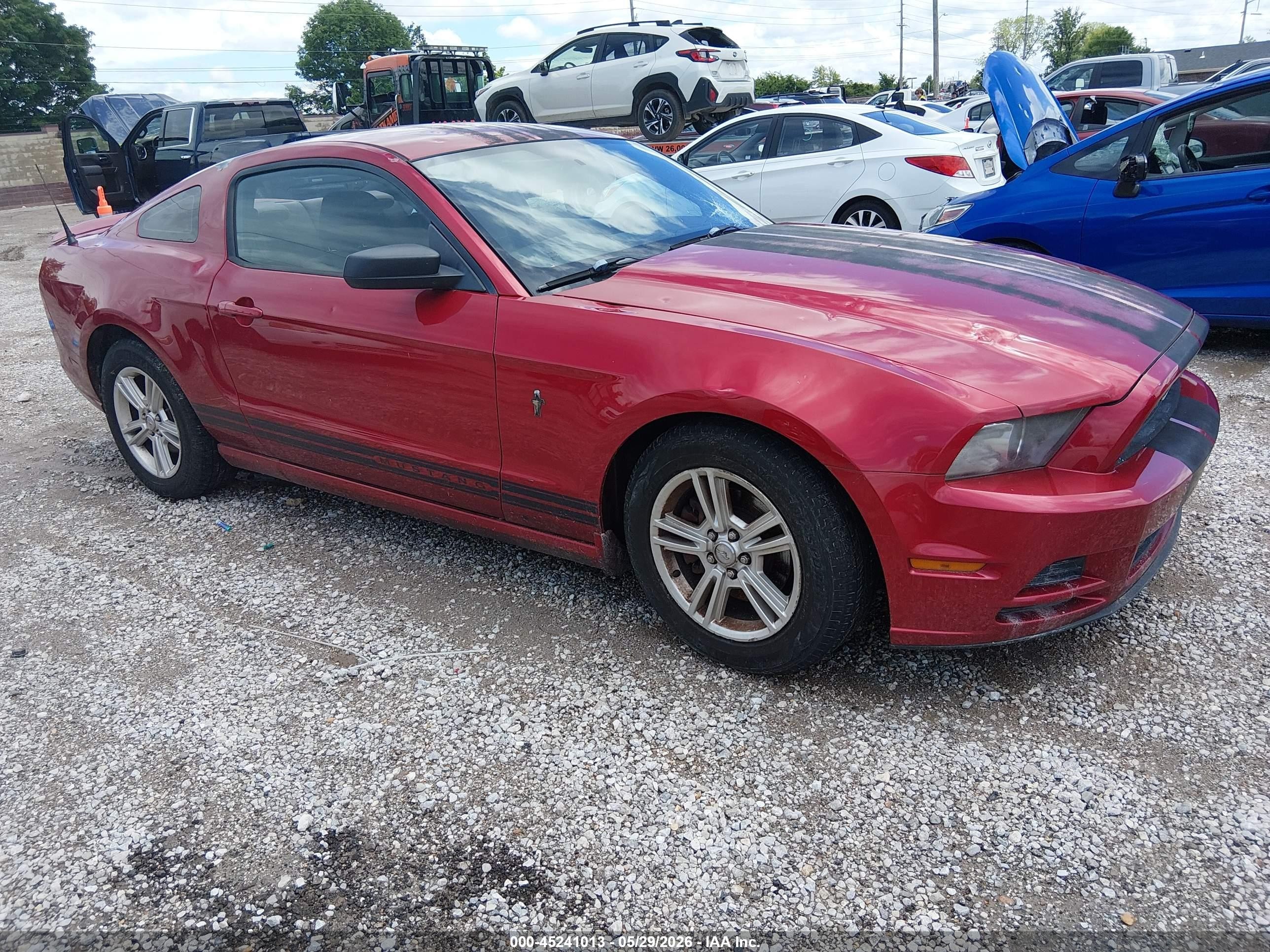 2013 Ford Mustang V6 Красный vin: 1ZVBP8AM8D5233215