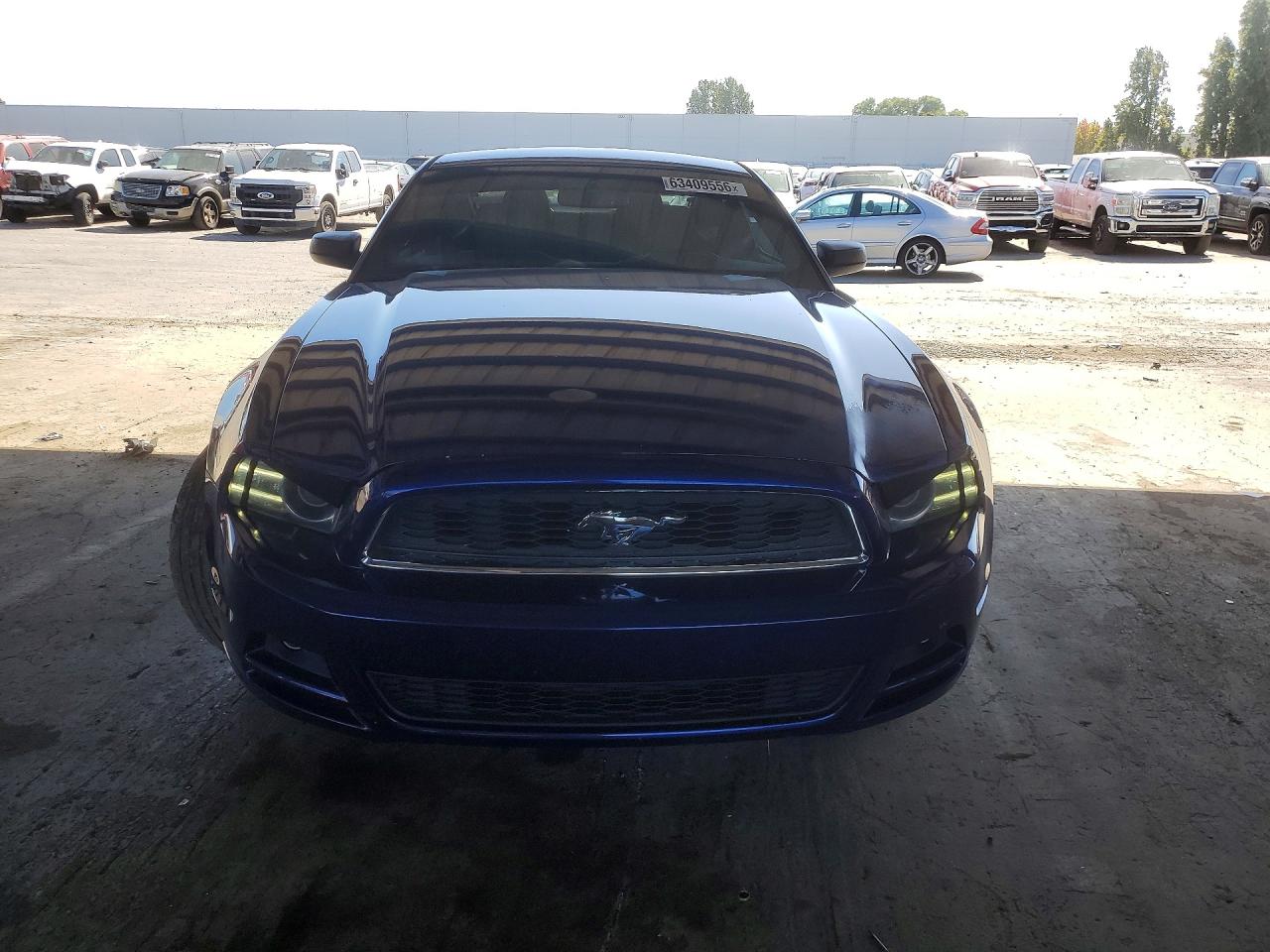 2013 Ford Mustang Синий vin: 1ZVBP8AM8D5235496