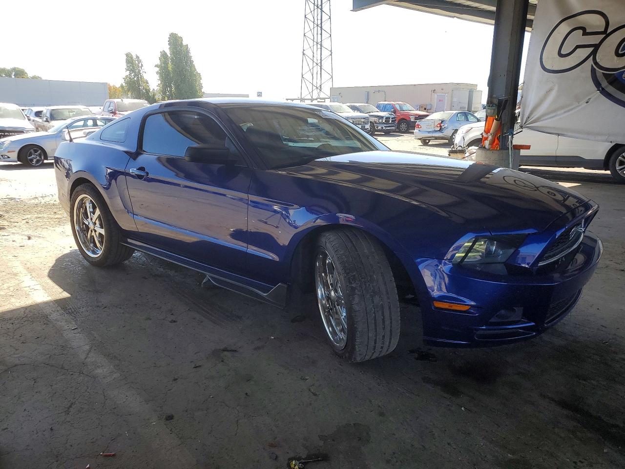 2013 Ford Mustang Синий vin: 1ZVBP8AM8D5235496