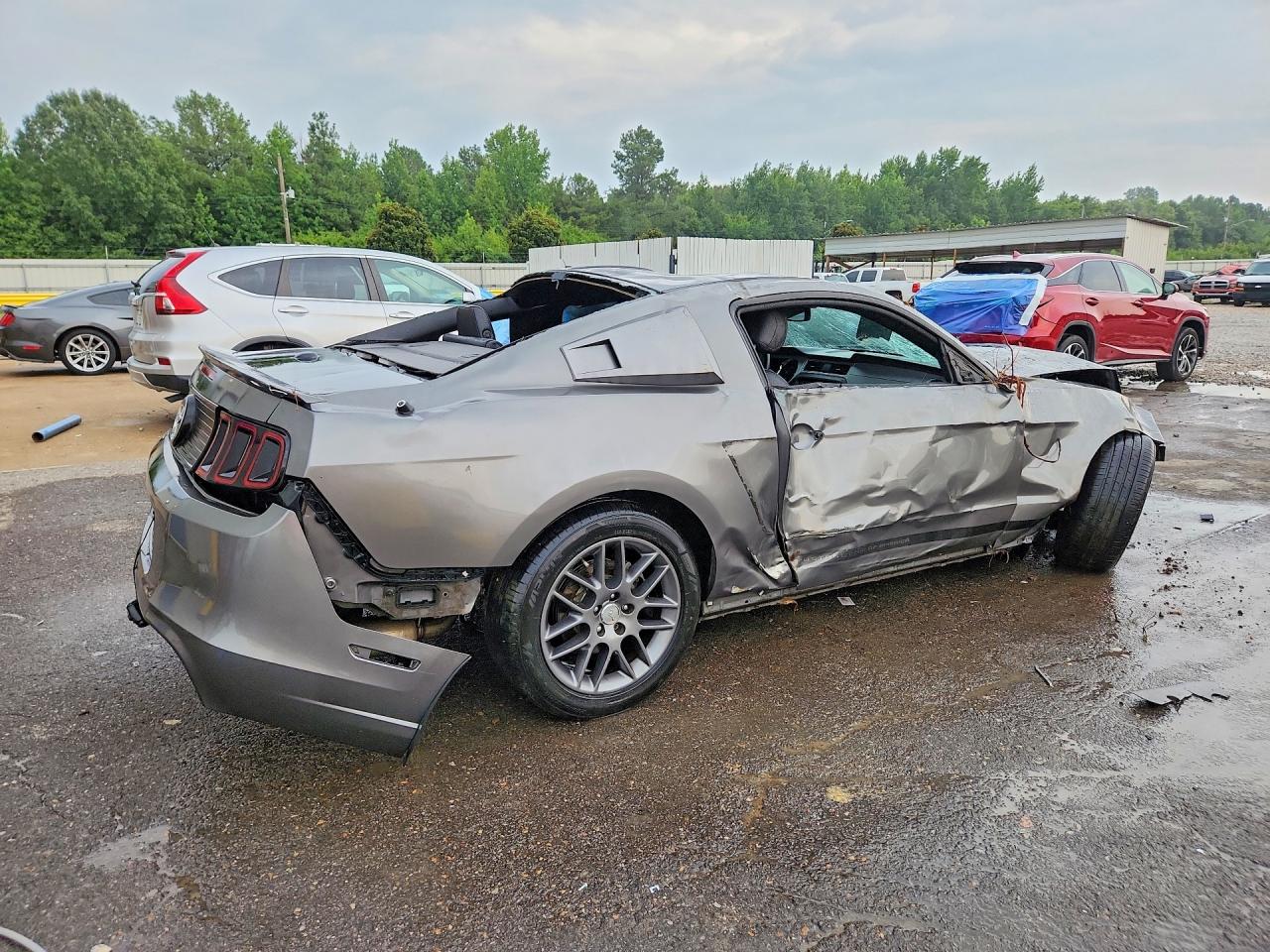 2013 Ford Mustang Gray vin: 1ZVBP8AM8D5244344