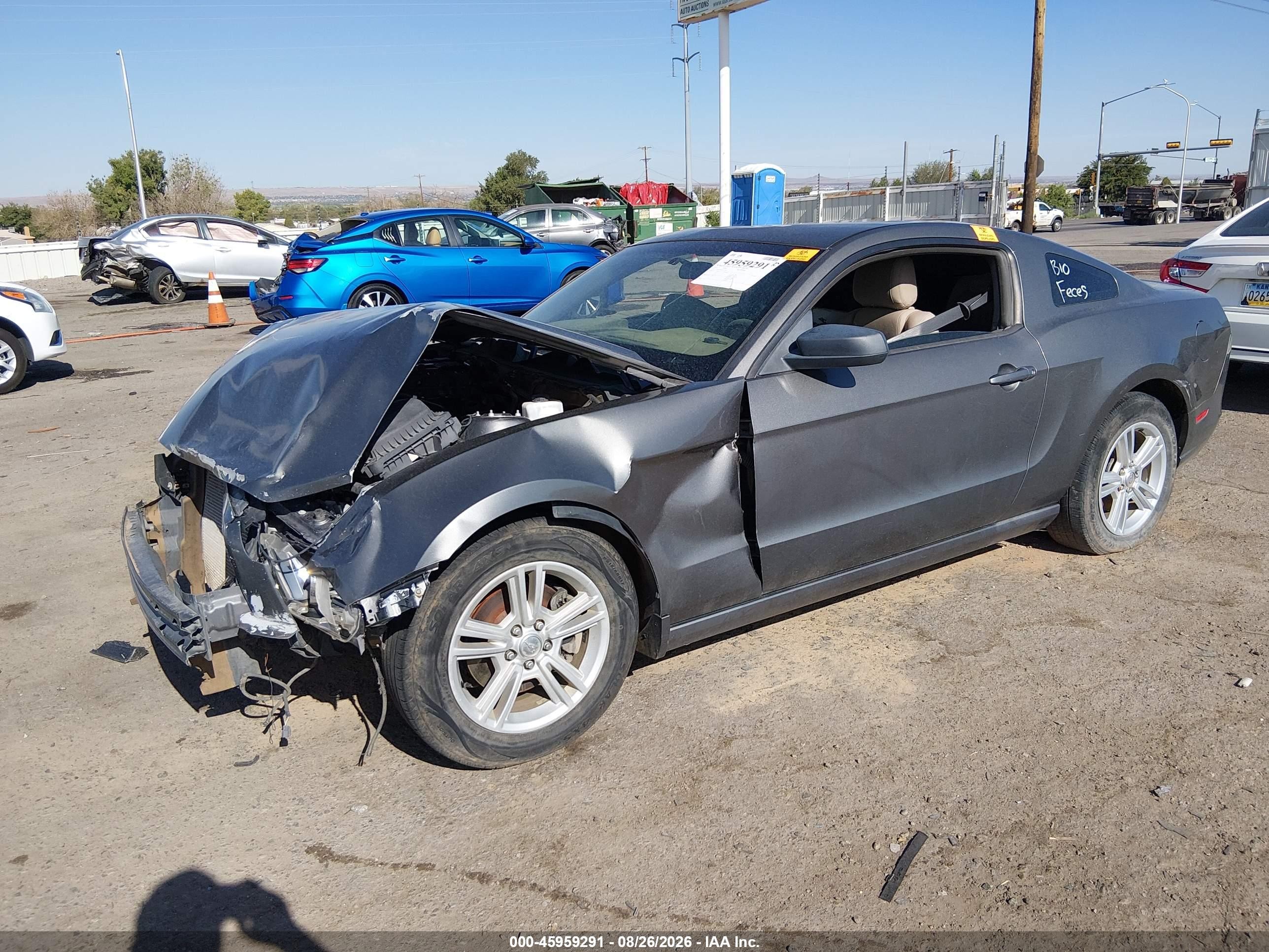 2013 Ford Mustang   Gray vin: 1ZVBP8AM8D5249785