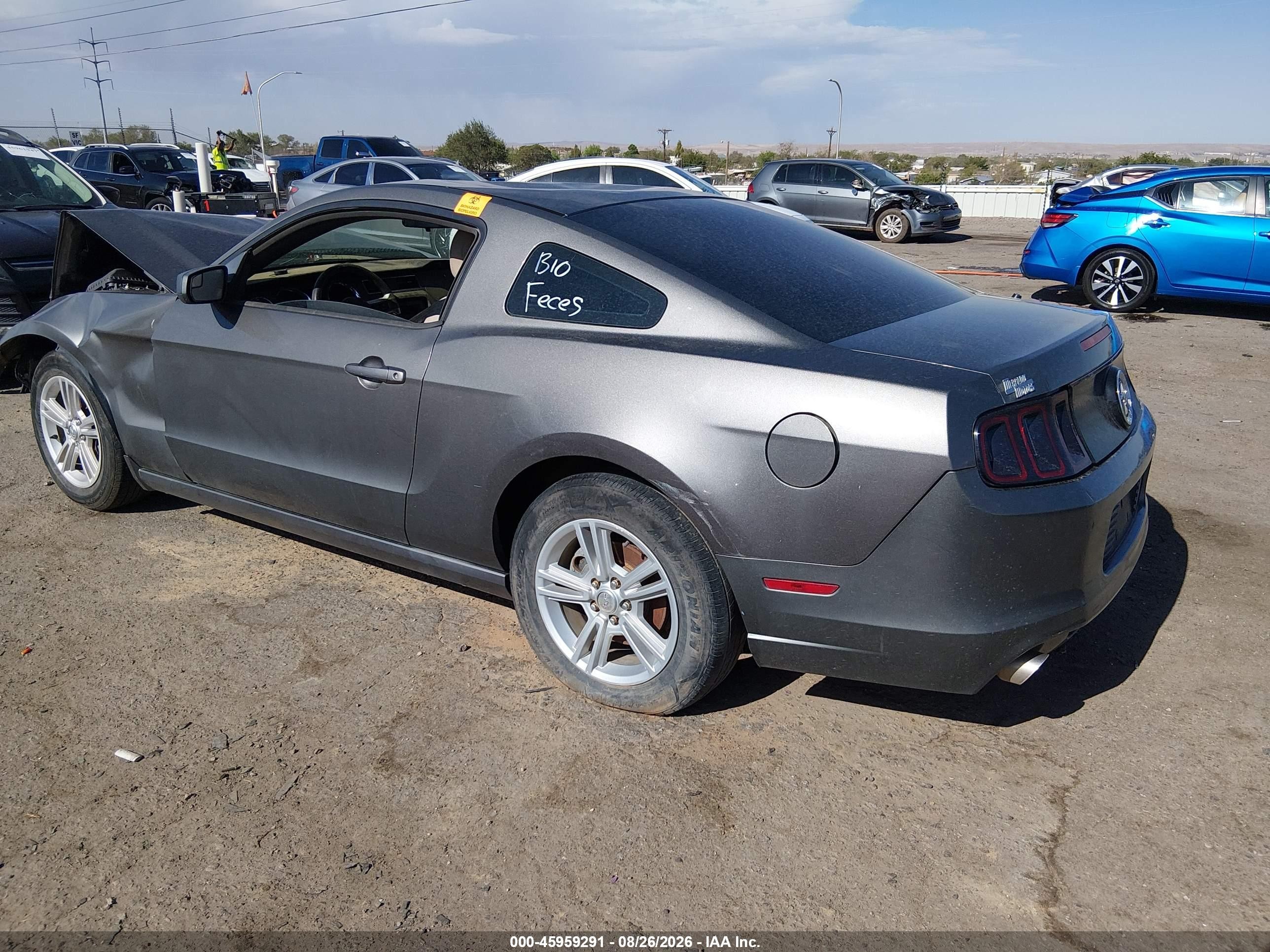 2013 Ford Mustang   Gray vin: 1ZVBP8AM8D5249785