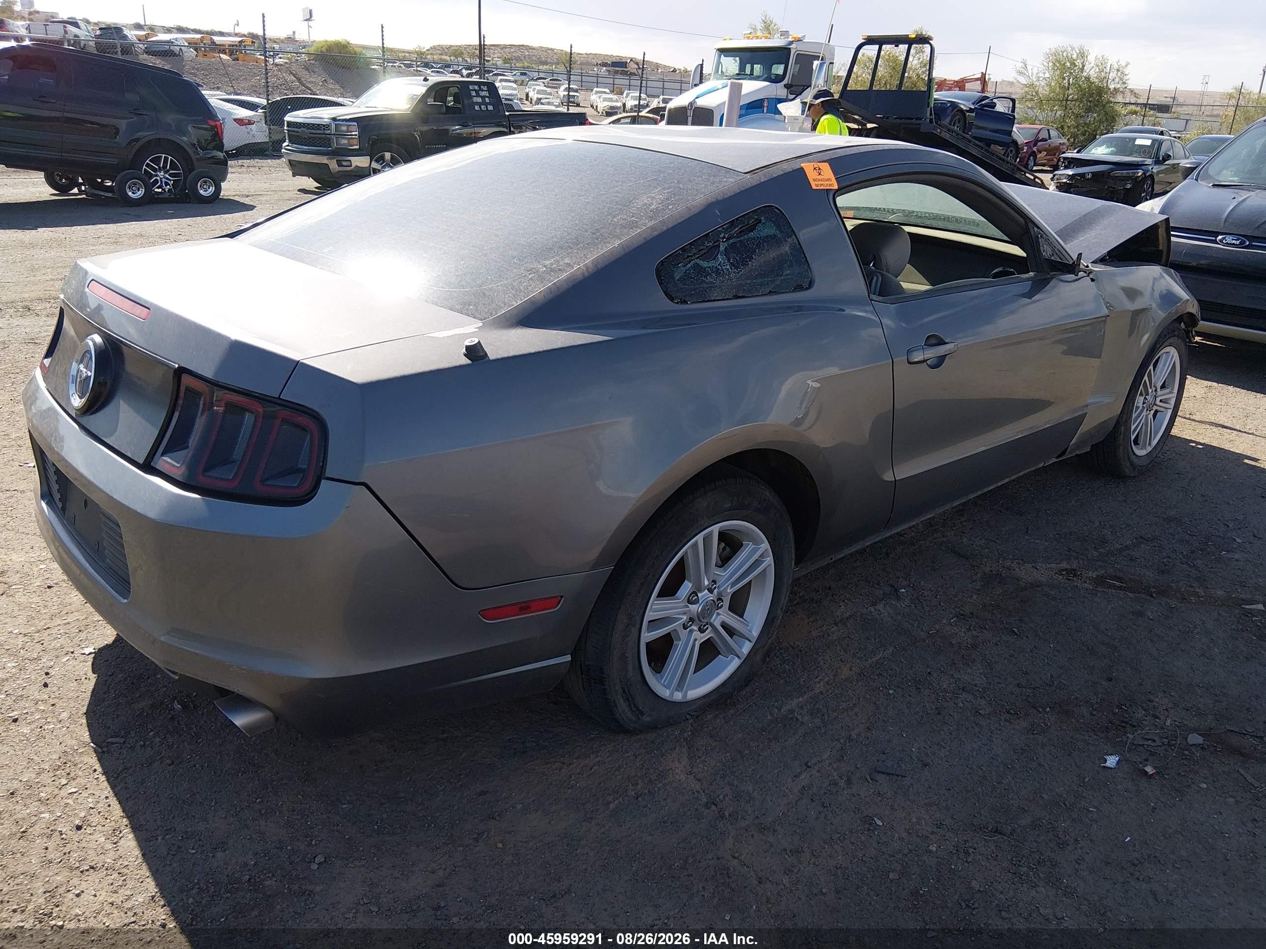 2013 Ford Mustang   Gray vin: 1ZVBP8AM8D5249785