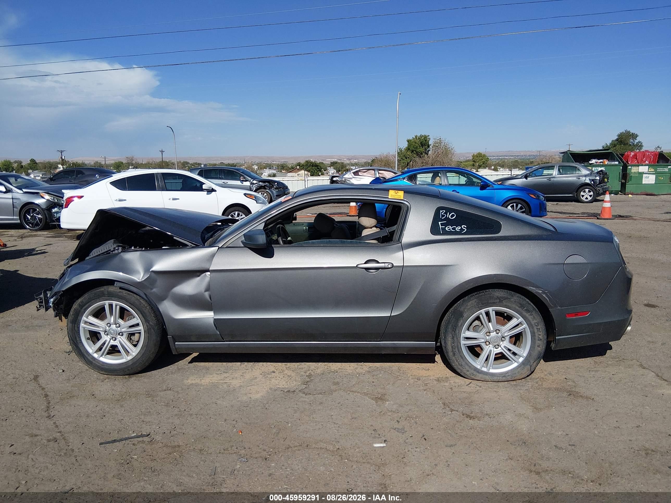 2013 Ford Mustang   Gray vin: 1ZVBP8AM8D5249785