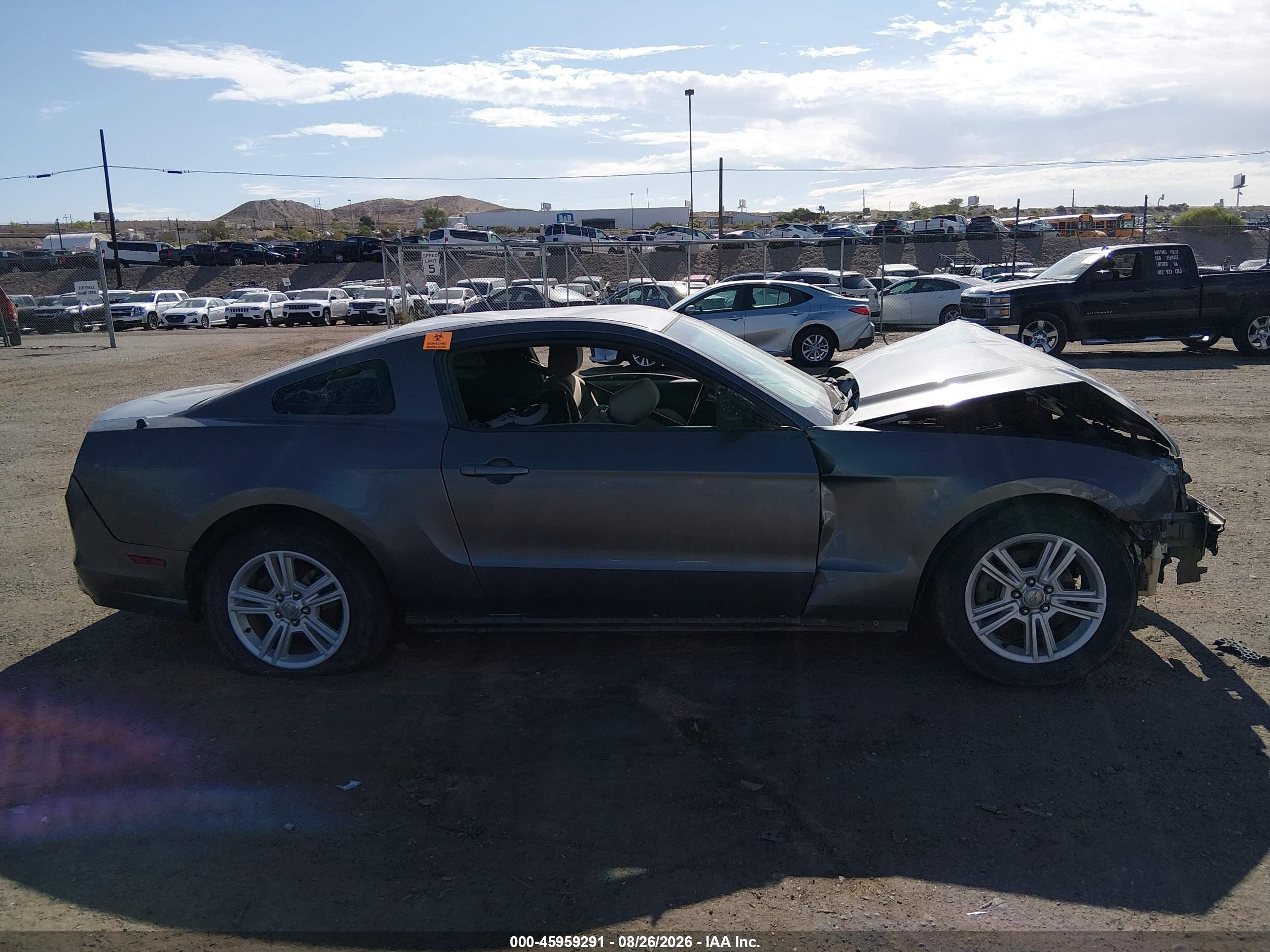 2013 Ford Mustang   Gray vin: 1ZVBP8AM8D5249785