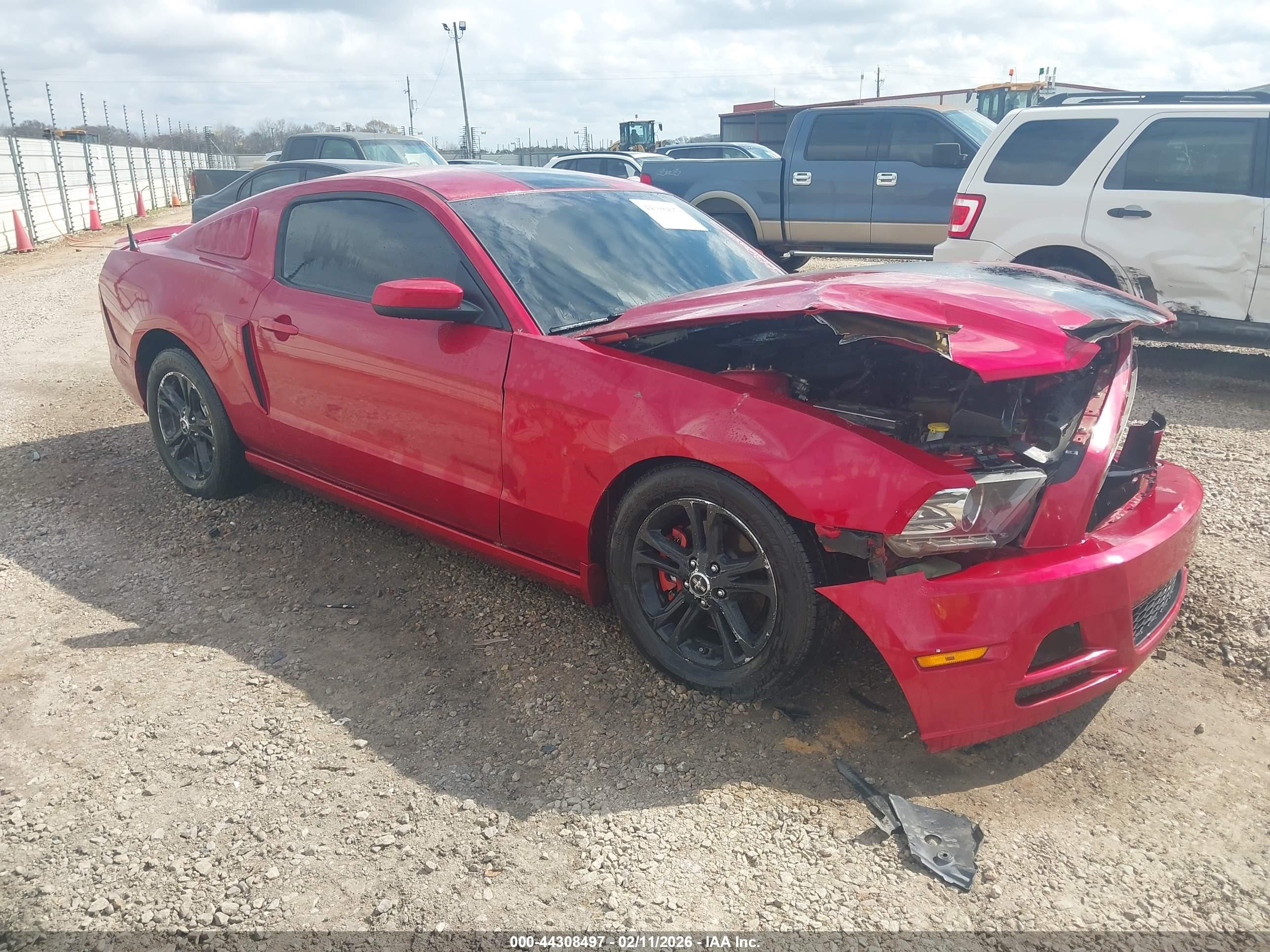 2013 Ford Mustang V6 Premium Red vin: 1ZVBP8AM8D5252511
