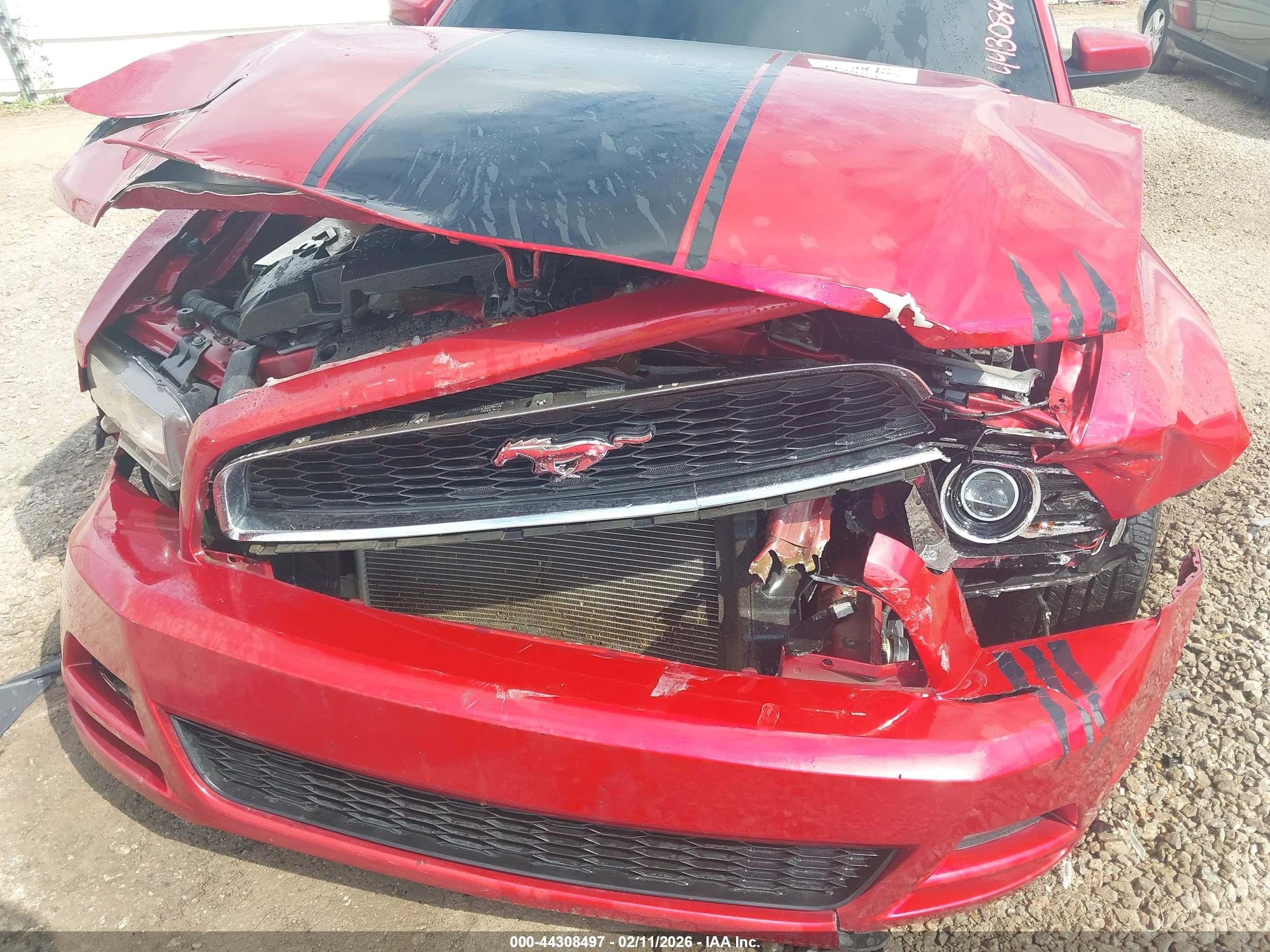 2013 Ford Mustang V6 Premium Red vin: 1ZVBP8AM8D5252511