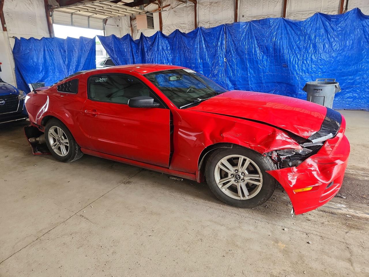 2014 Ford Mustang Красный vin: 1ZVBP8AM8E5226198