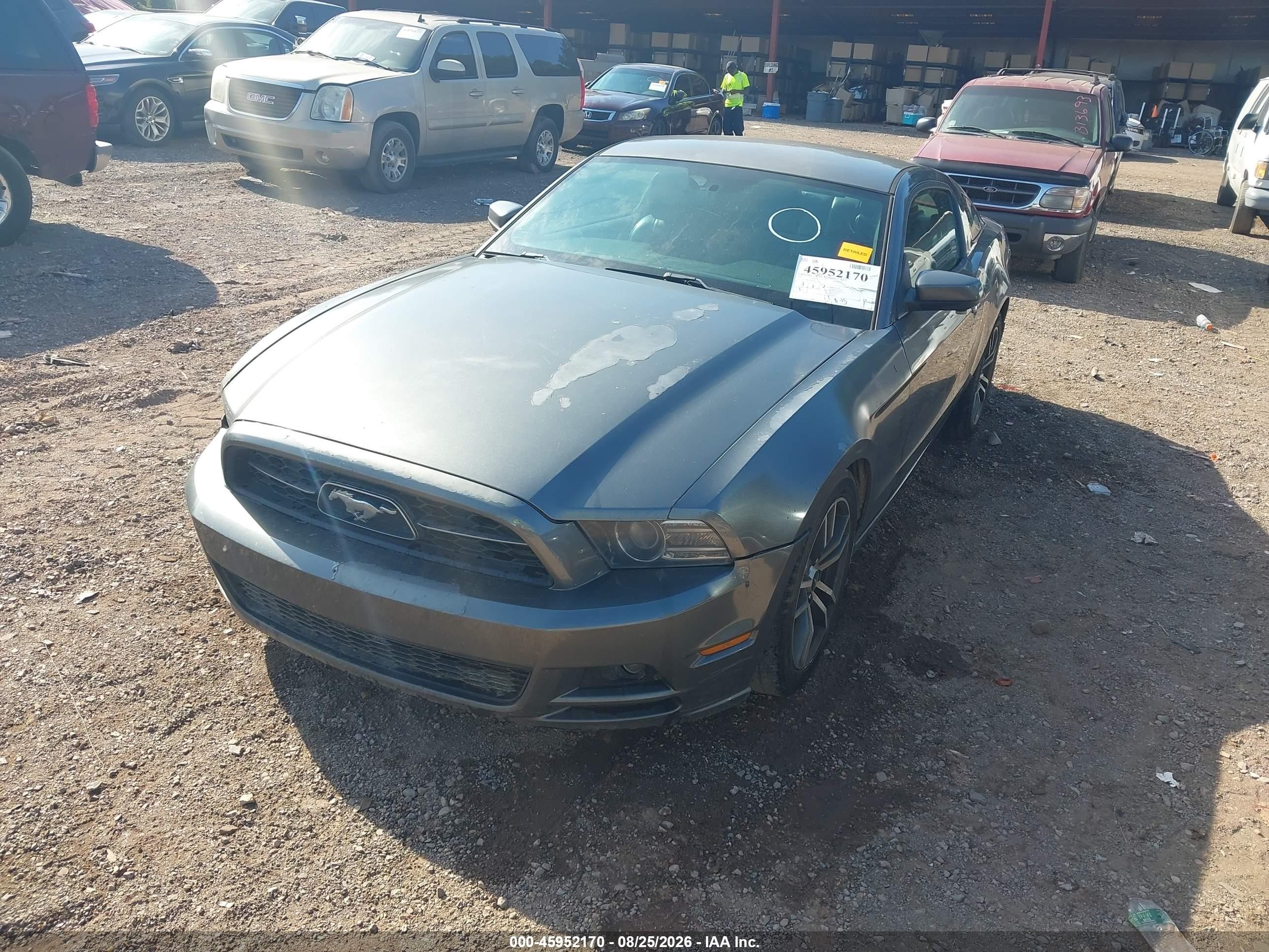 2014 Ford Mustang V6 Premium Gray vin: 1ZVBP8AM8E5282318