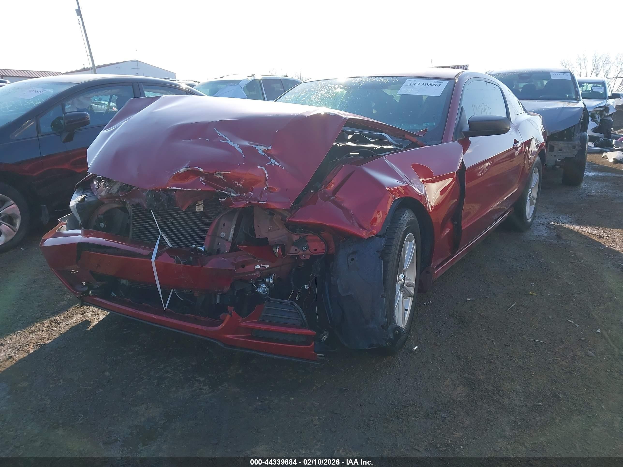 2014 Ford Mustang V6 Red vin: 1ZVBP8AM8E5287437