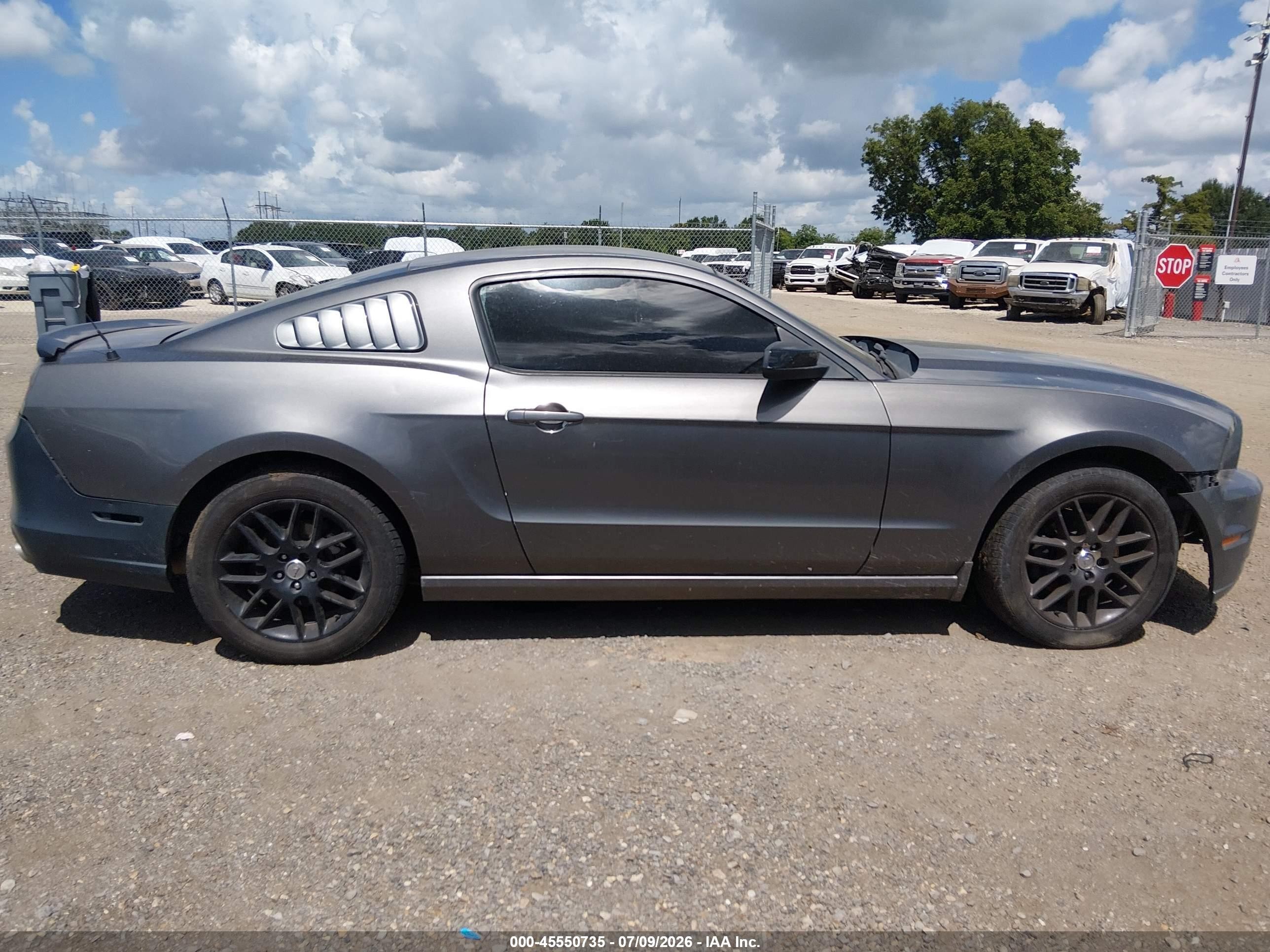 2014 Ford Mustang V6/v6 Premium Gray vin: 1ZVBP8AM8E5288345