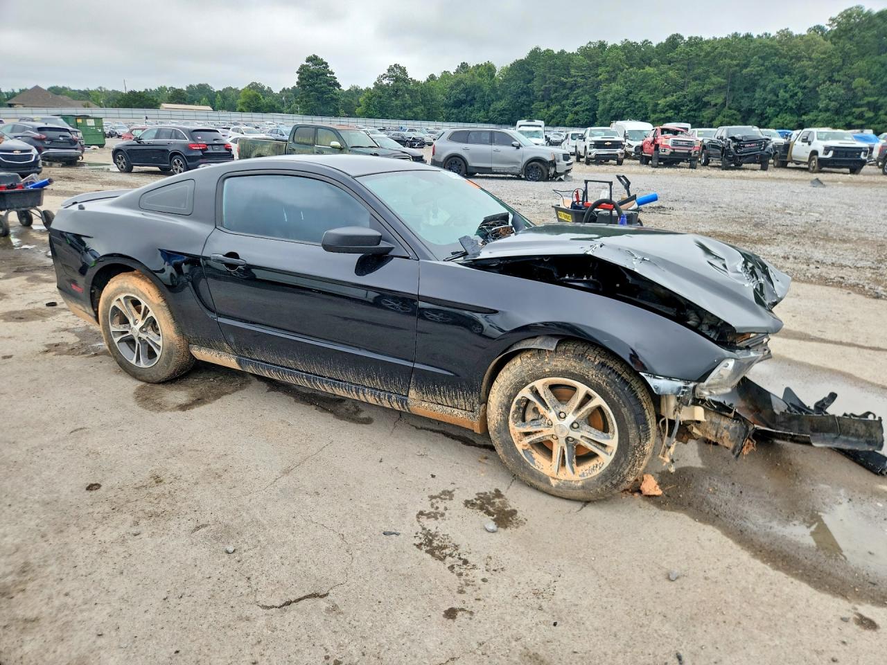 2014 Ford Mustang Black vin: 1ZVBP8AM8E5292704