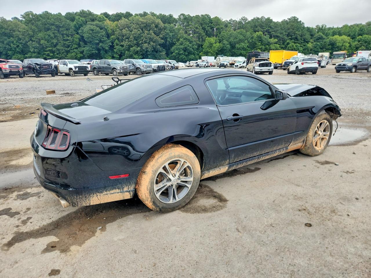 2014 Ford Mustang Black vin: 1ZVBP8AM8E5292704