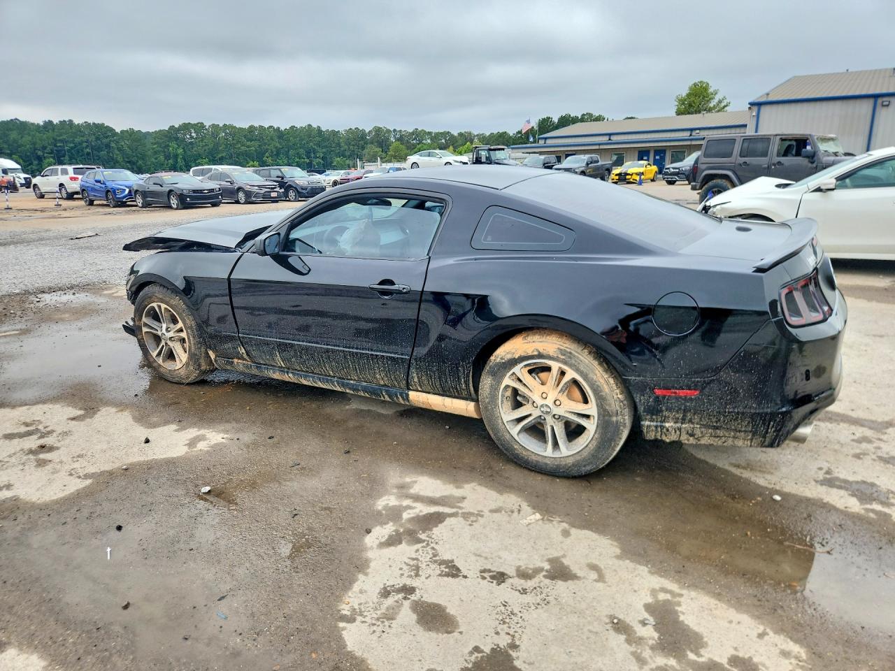 2014 Ford Mustang Black vin: 1ZVBP8AM8E5292704