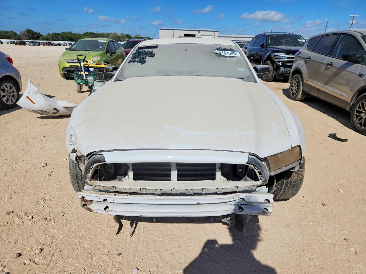 2014 Ford Mustang Белый vin: 1ZVBP8AM8E5301644