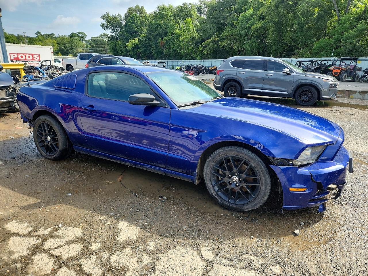 2014 Ford Mustang Blue vin: 1ZVBP8AM8E5301725