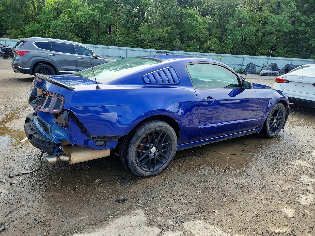 2014 Ford Mustang Blue vin: 1ZVBP8AM8E5301725