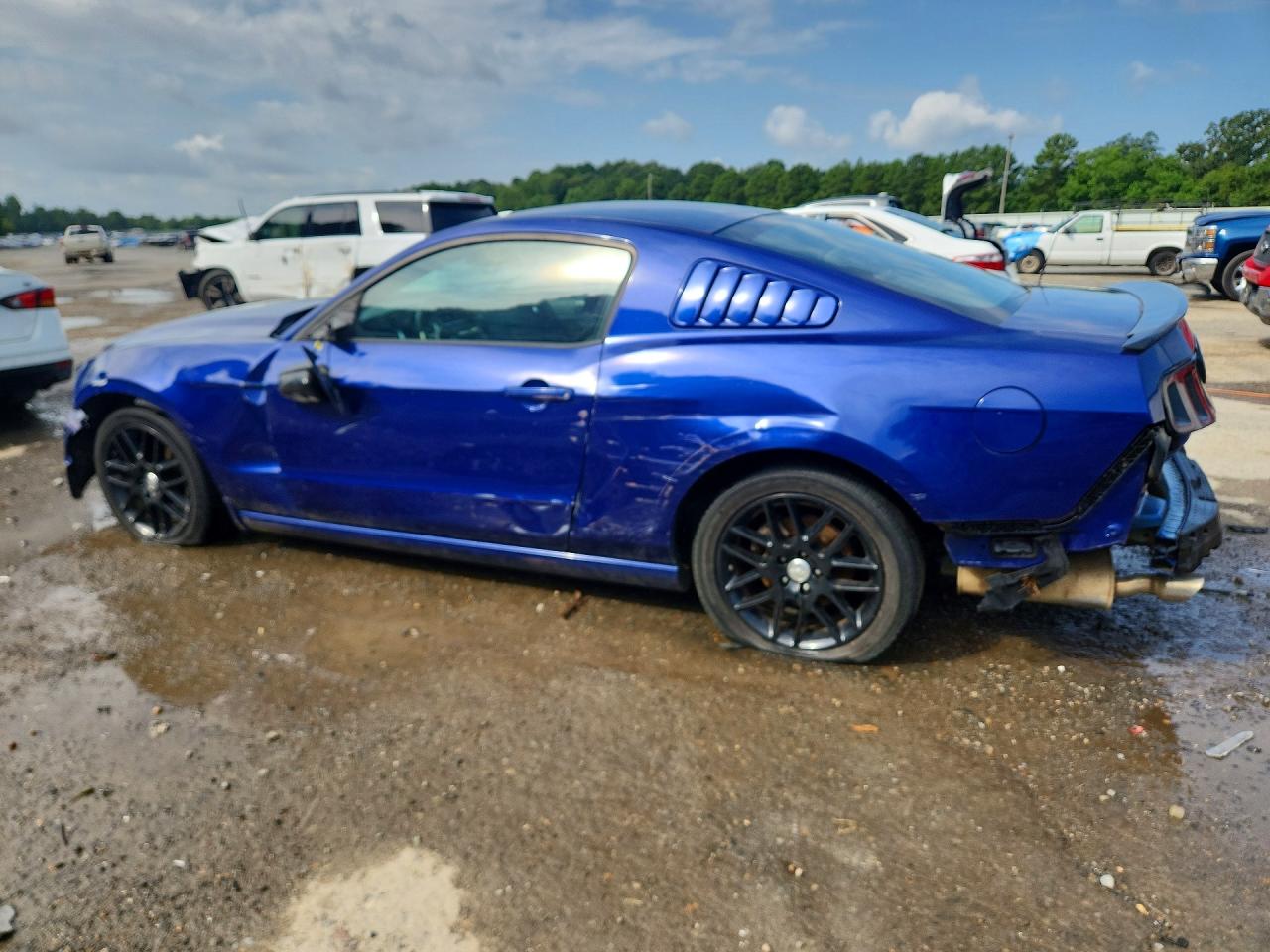 2014 Ford Mustang Blue vin: 1ZVBP8AM8E5301725