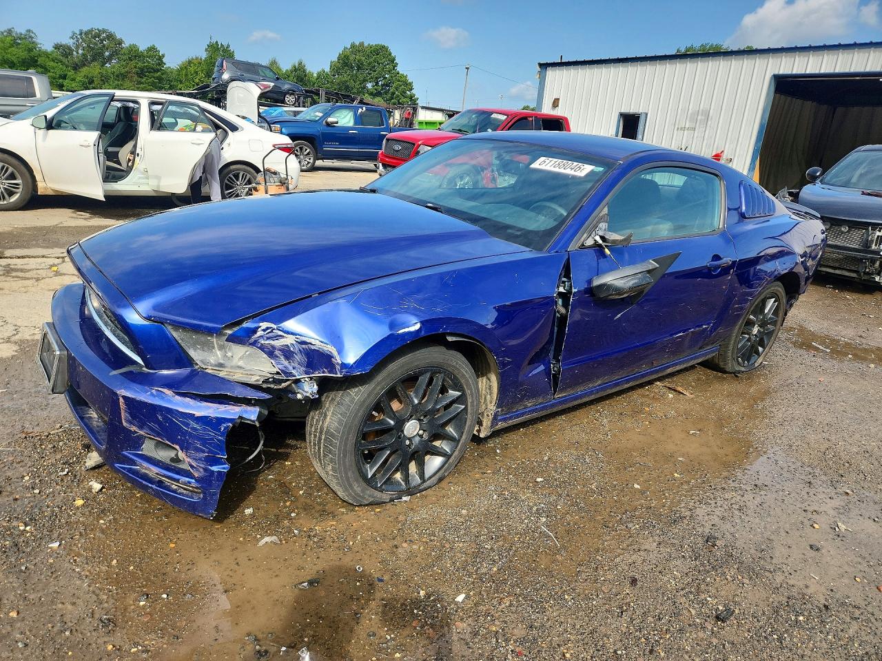 2014 Ford Mustang Blue vin: 1ZVBP8AM8E5301725