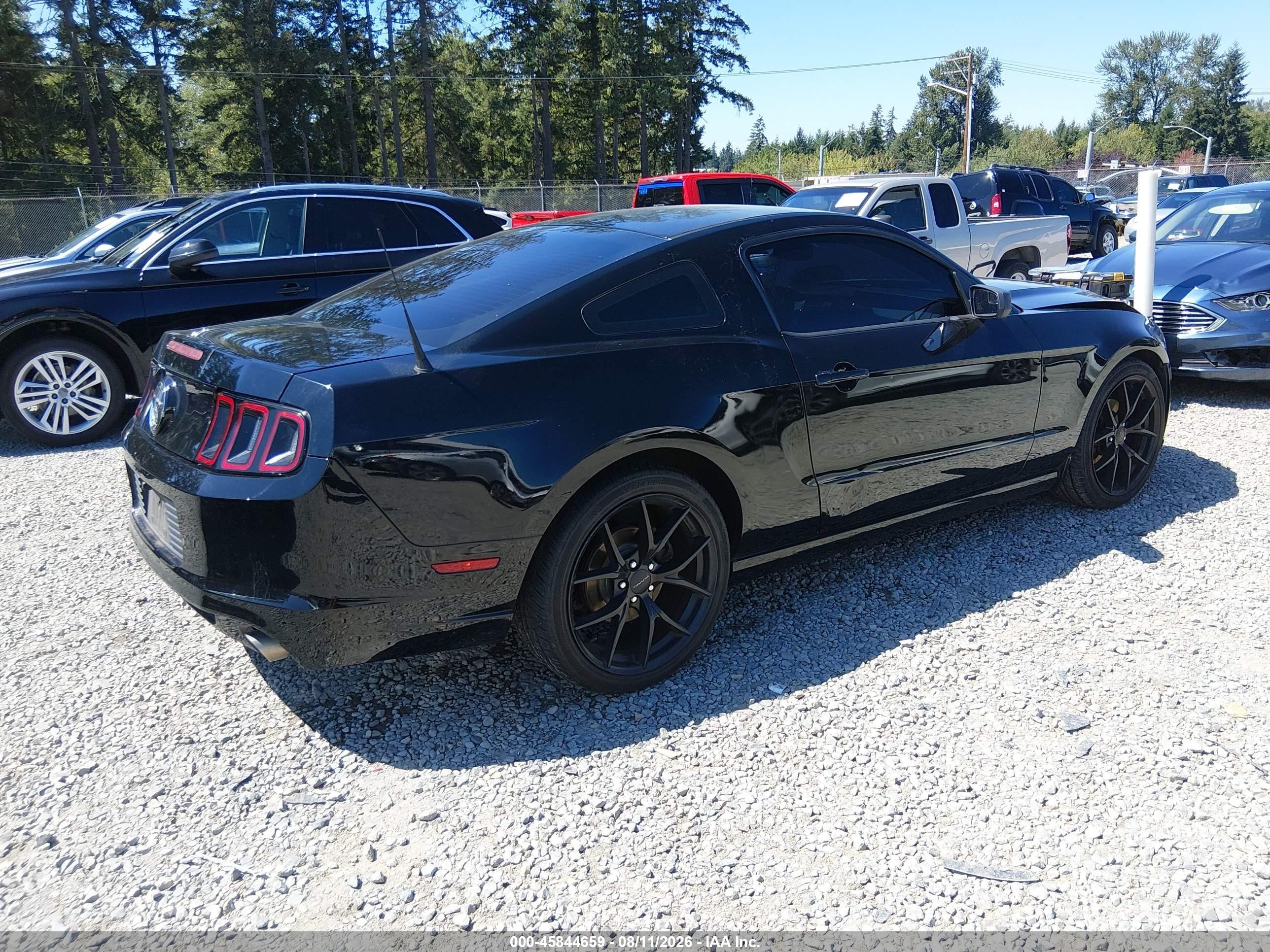 2014 Ford Mustang V6 Black vin: 1ZVBP8AM8E5306438