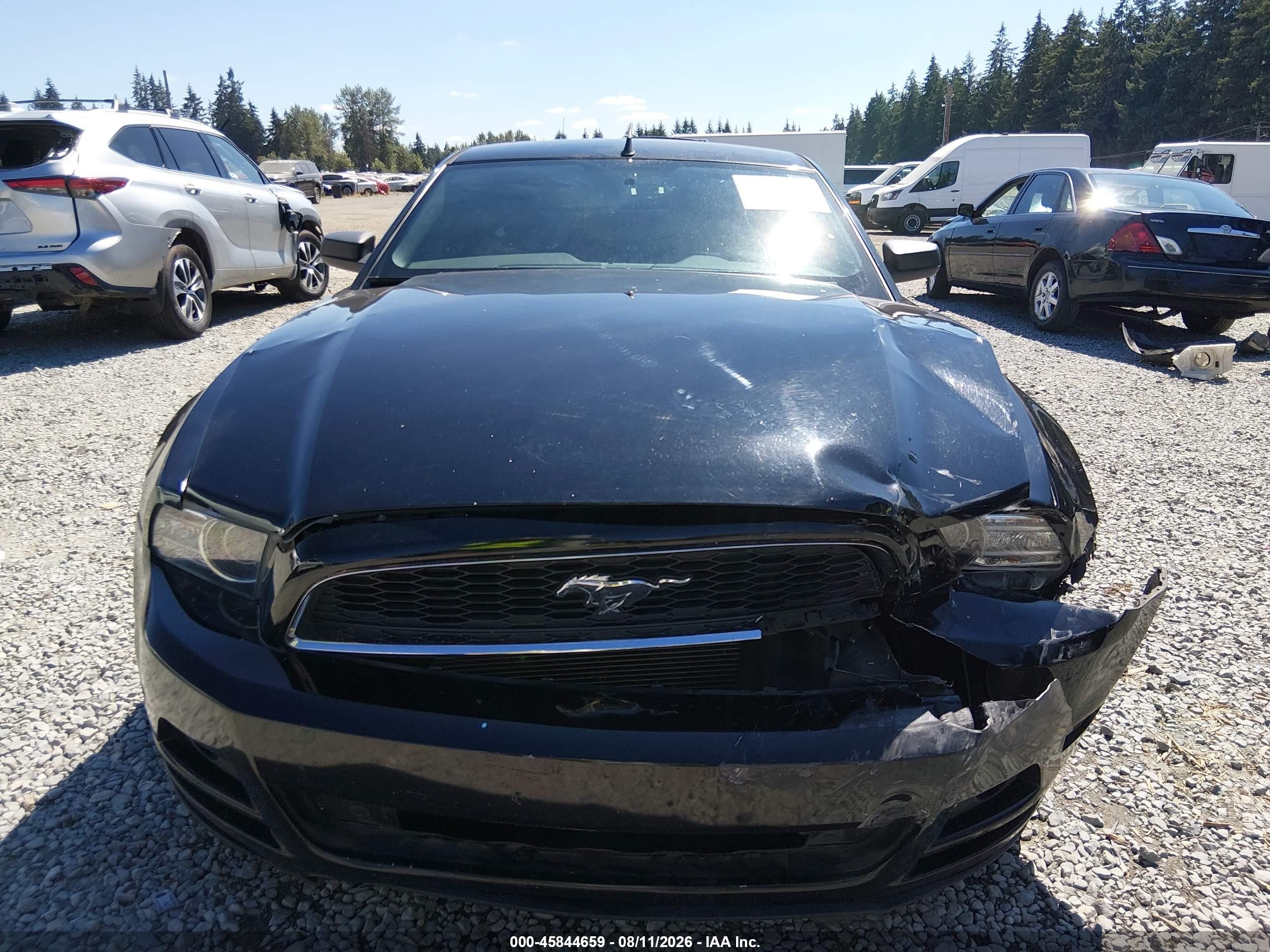 2014 Ford Mustang V6 Black vin: 1ZVBP8AM8E5306438