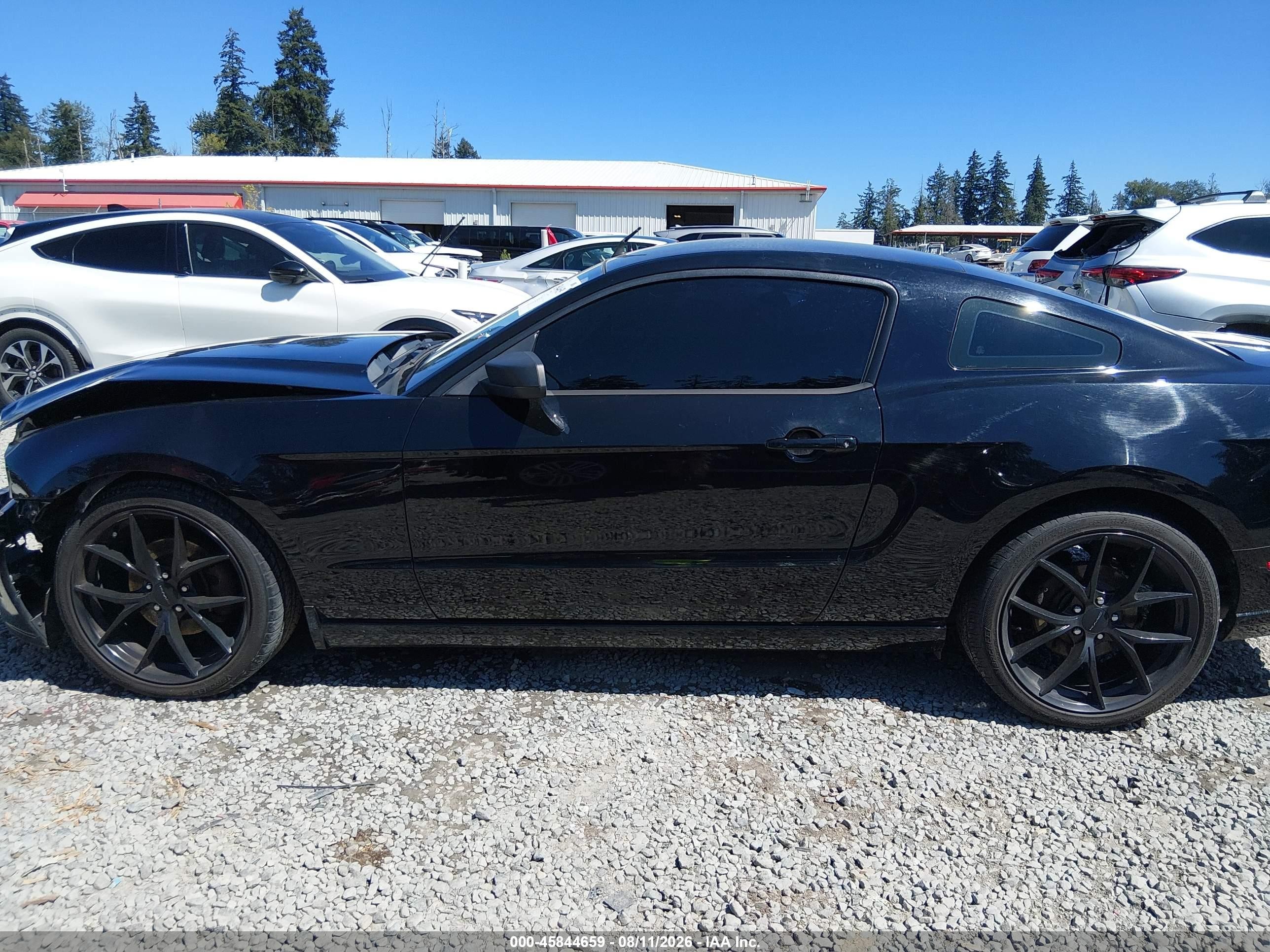 2014 Ford Mustang V6 Black vin: 1ZVBP8AM8E5306438