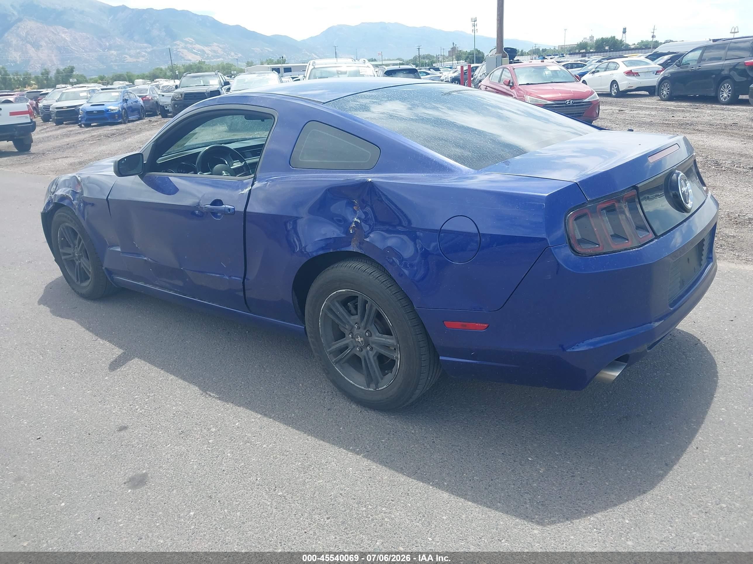 2014 Ford Mustang V6 vin: 1ZVBP8AM8E5313731