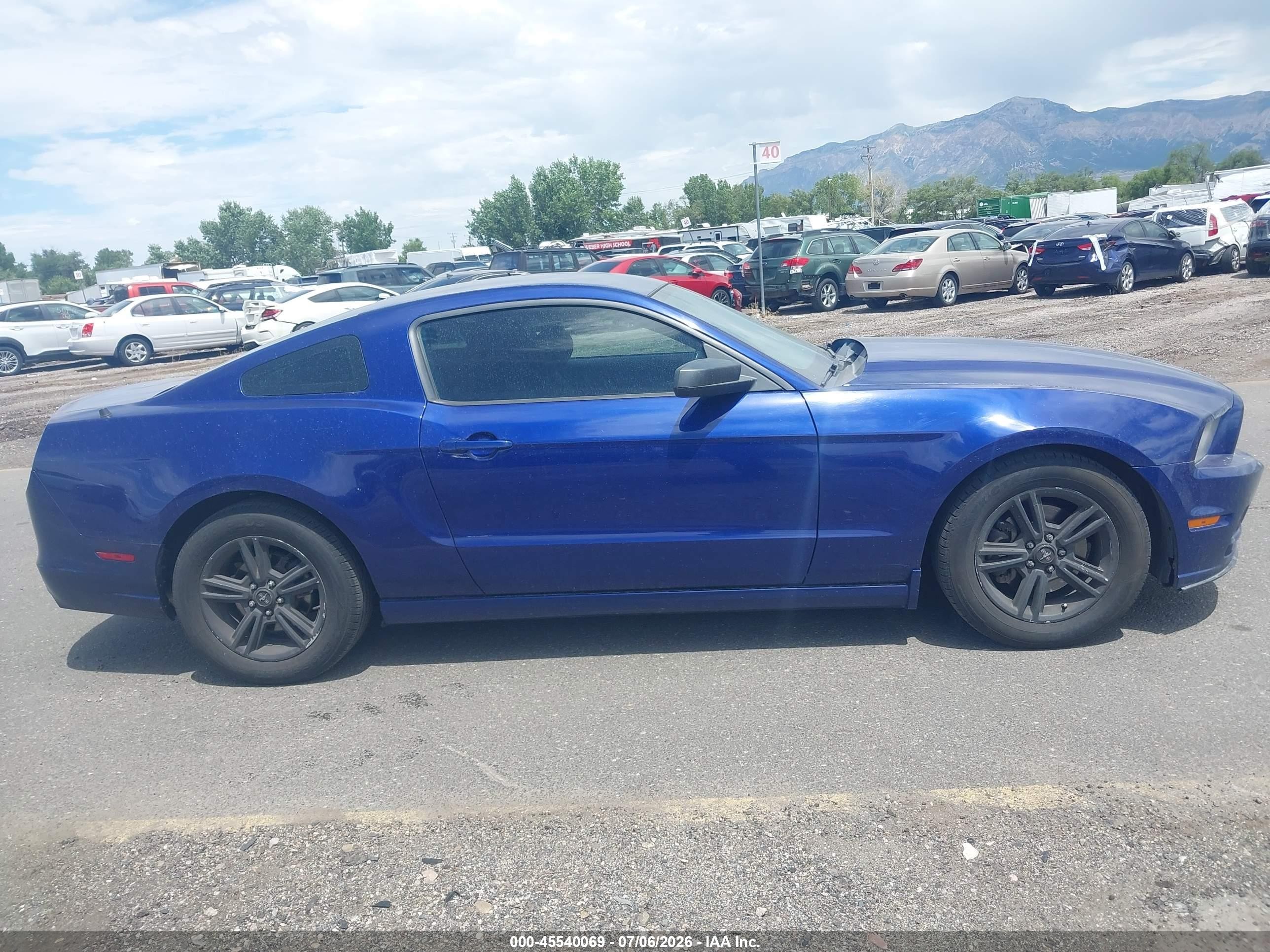 2014 Ford Mustang V6 vin: 1ZVBP8AM8E5313731