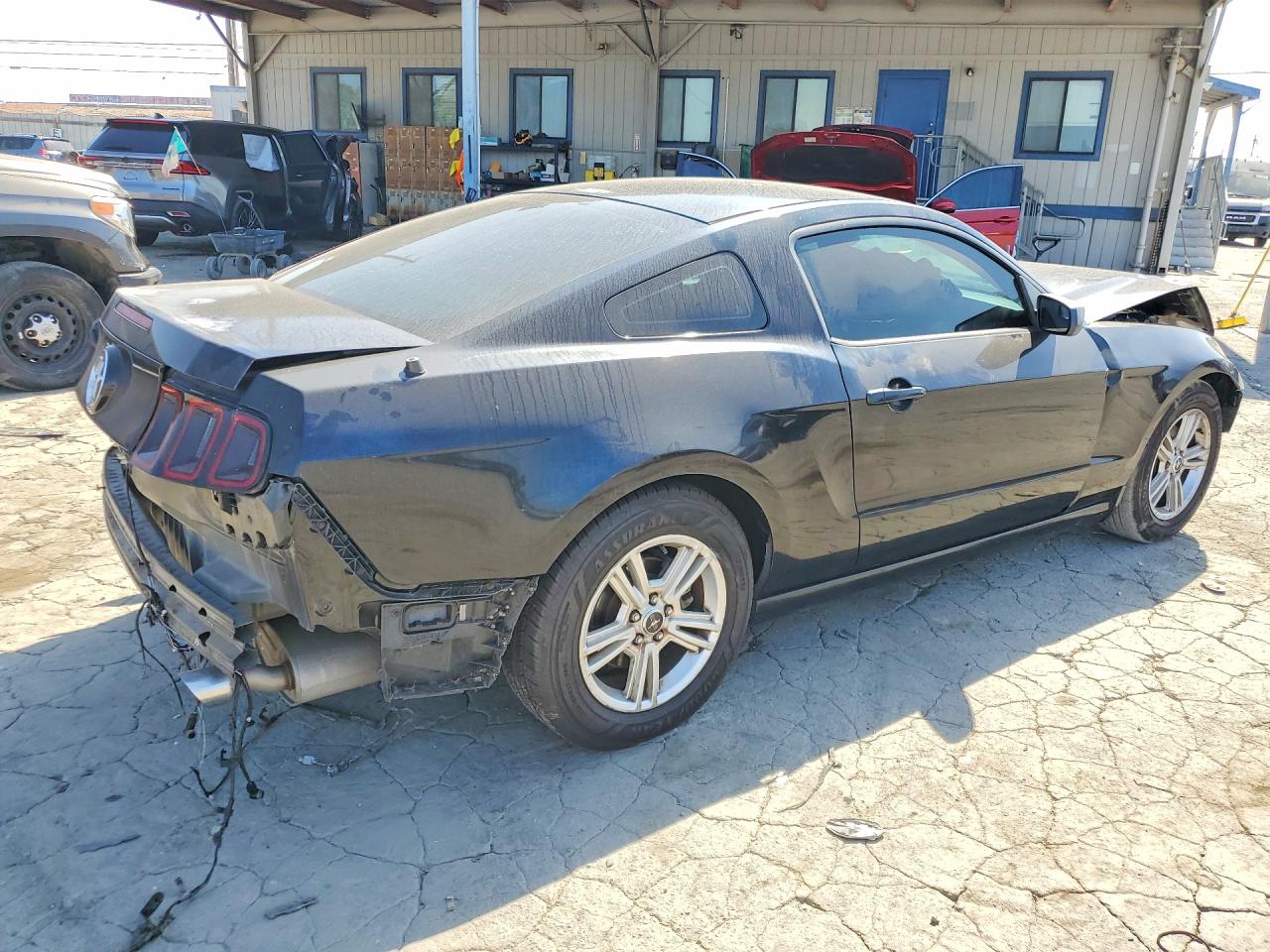 2014 Ford Mustang Black vin: 1ZVBP8AM8E5316659