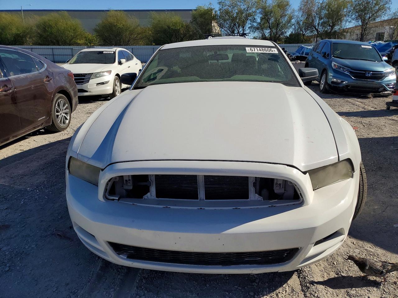 2014 Ford Mustang White vin: 1ZVBP8AM8E5328195