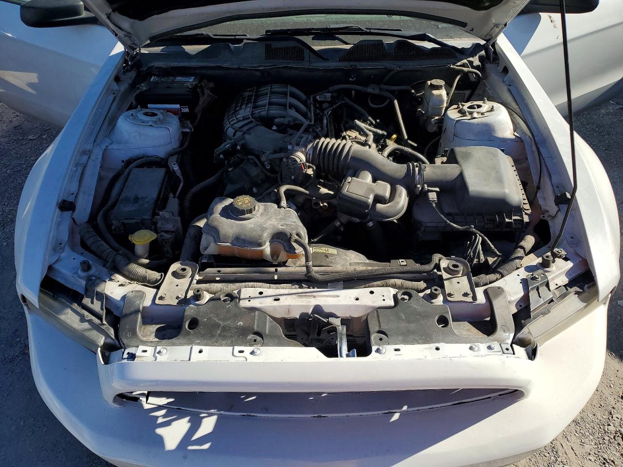 2014 Ford Mustang White vin: 1ZVBP8AM8E5328195