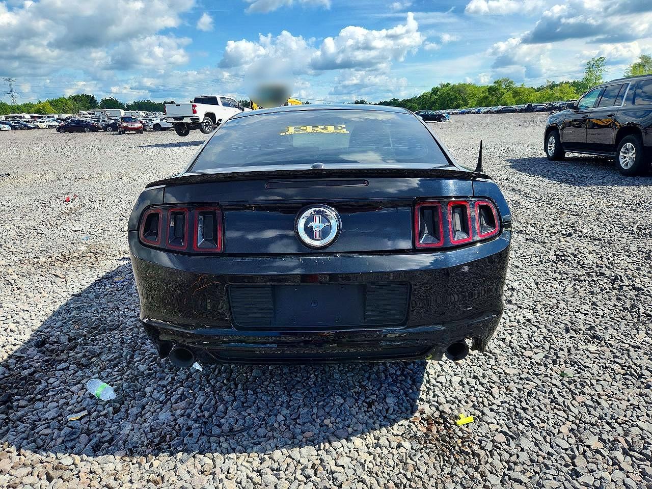 2014 Ford Mustang Black vin: 1ZVBP8AM8E5333980