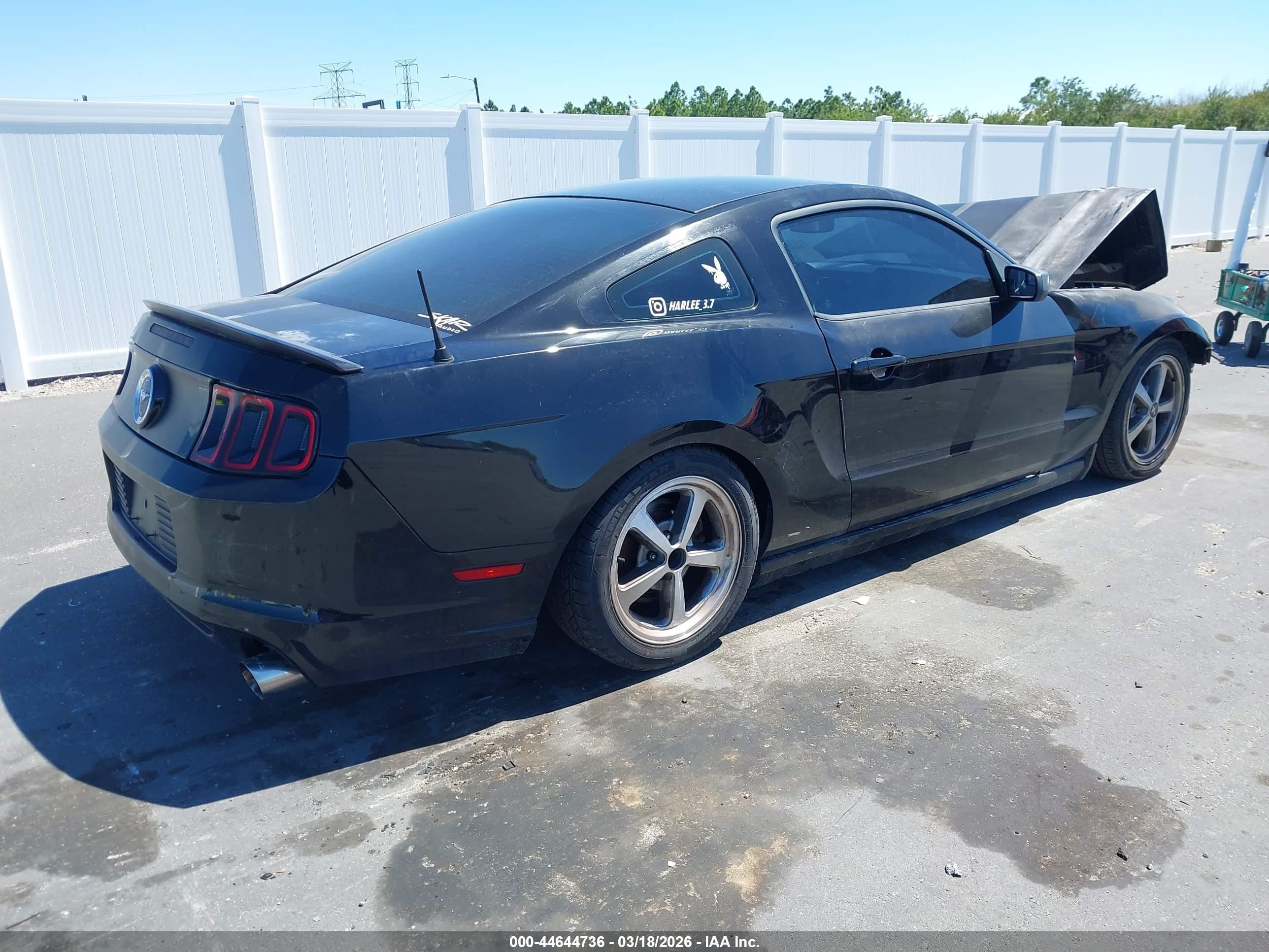 2014 Ford Mustang V6 Black vin: 1ZVBP8AM8E5334076
