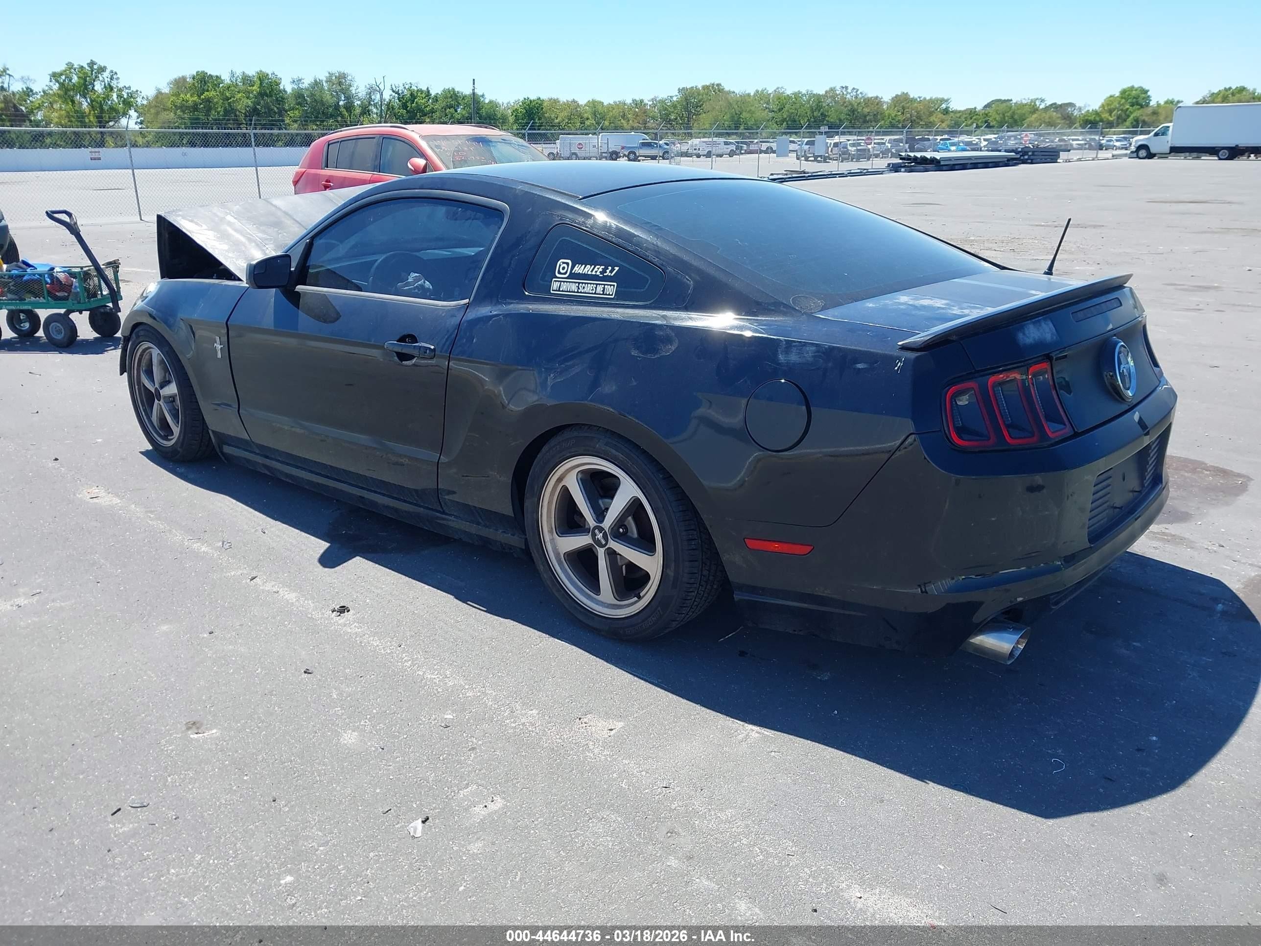 2014 Ford Mustang V6 Black vin: 1ZVBP8AM8E5334076