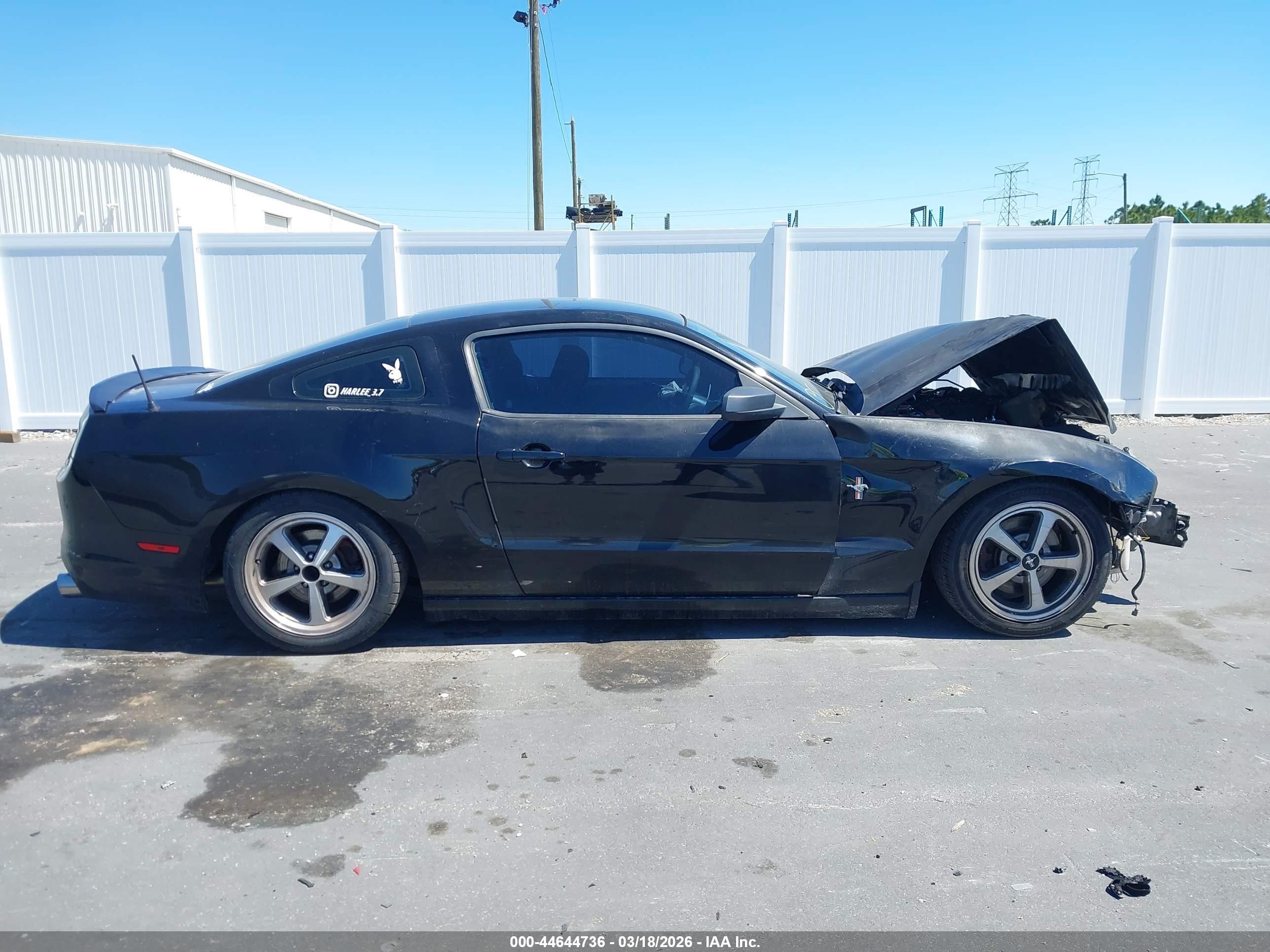 2014 Ford Mustang V6 Black vin: 1ZVBP8AM8E5334076